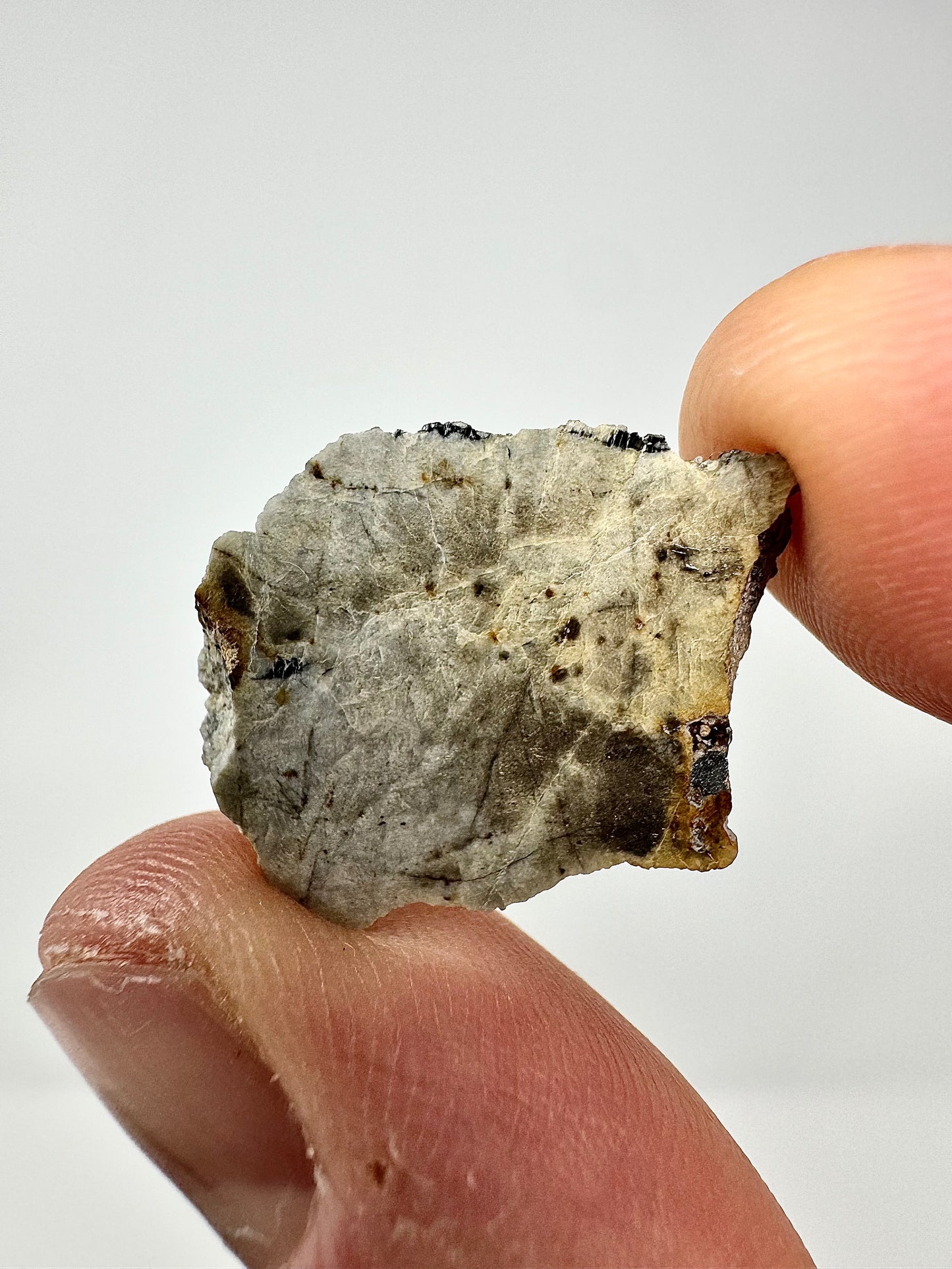 1.9g Djoua 001 Enstatite Achondrite Meteorite - Evidence of Planet Mercury - Marble Appearance