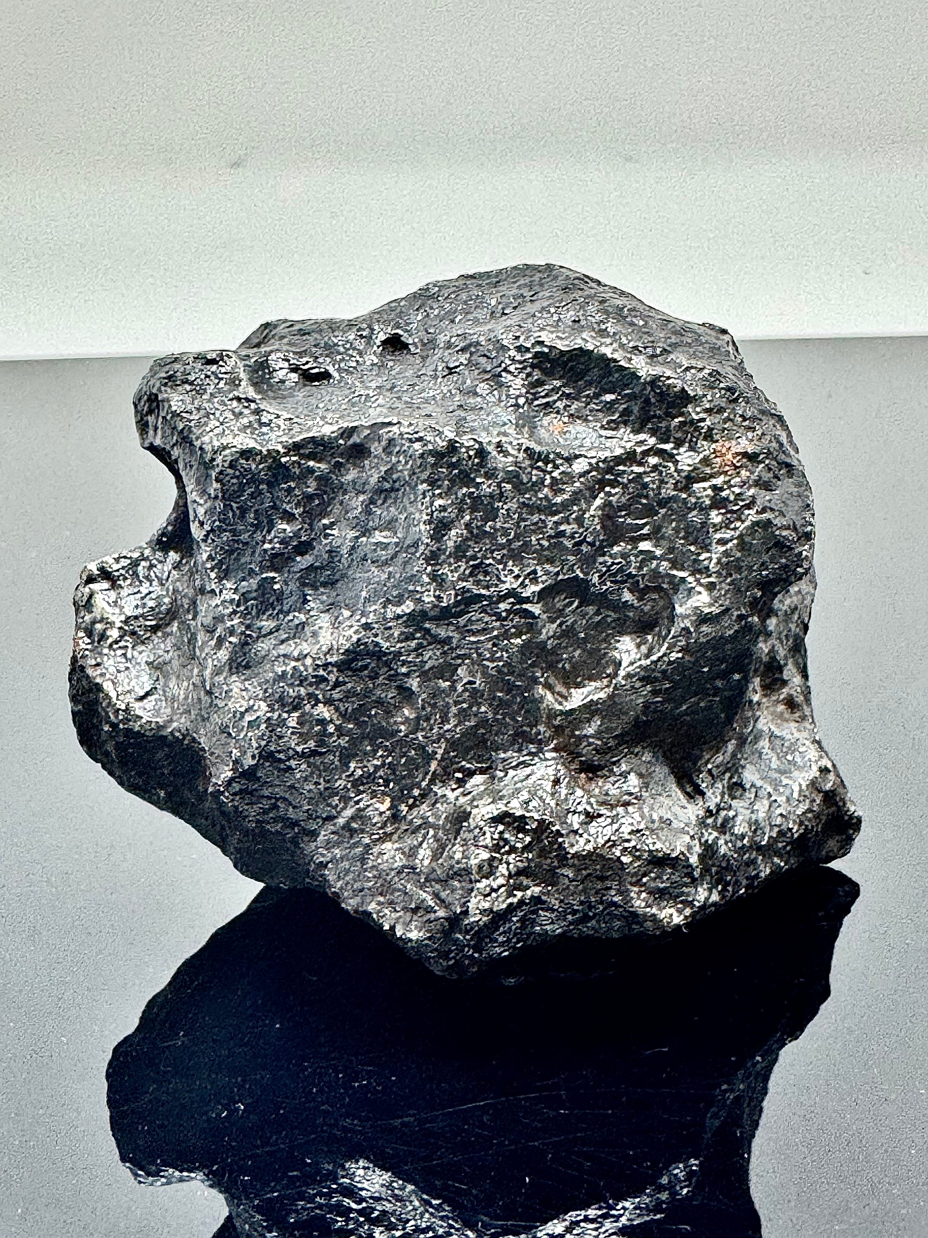 The Interstellar Collection of Meteorites - Newest Arrivals