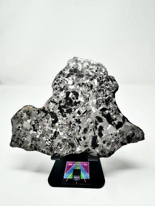 NWA 5549 Silicated Iron Meteorite - 252.9g Full Slice!
