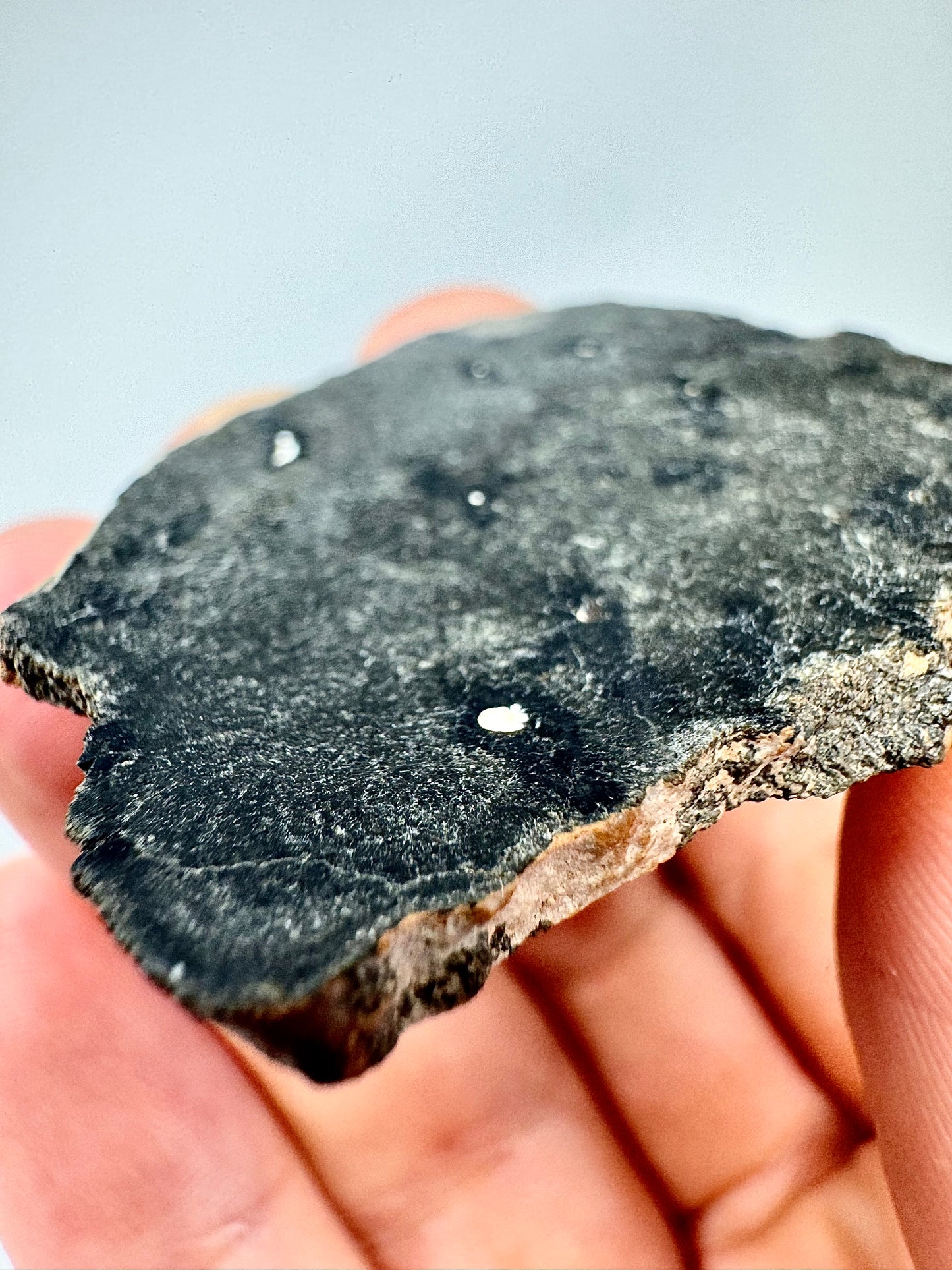 12.2g Genuine Martian Meteorite with Aqueous Alteration - NWA 18281 - Scientifically Studied Rock From Planet Mars