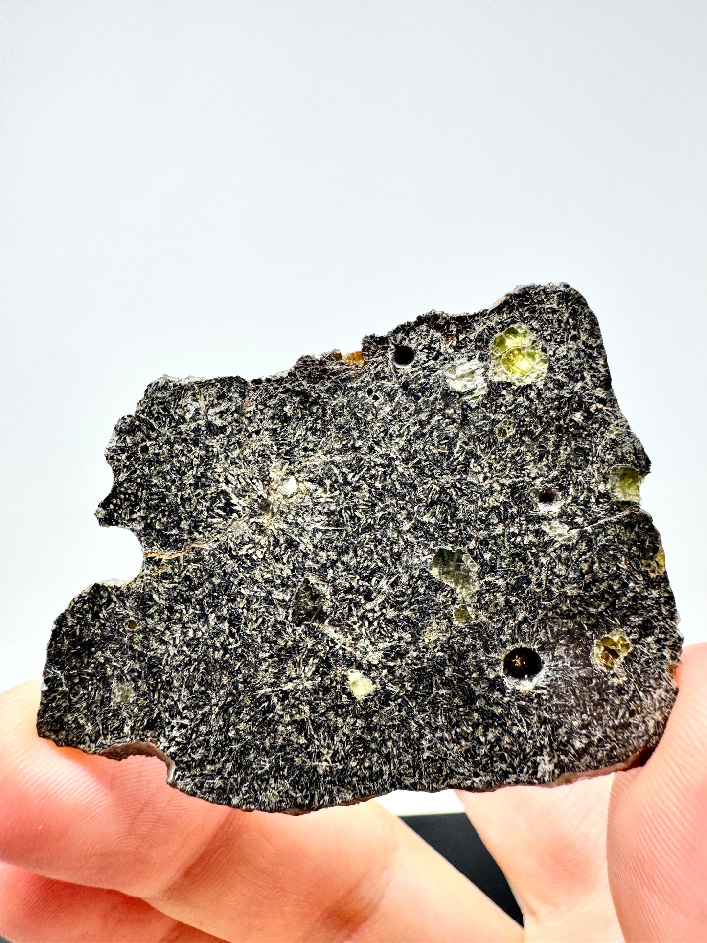 NEA 120 Full Slice - A Rare, Vesicular Angrite Meteorite w/ Needle-Like Matrix And Translucent Crystals! 10.0g