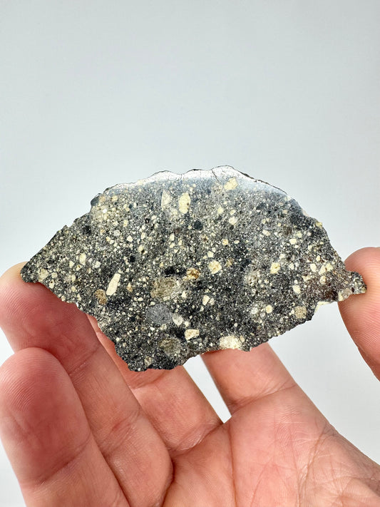 15.0g Stunning Diogenite Meteorite Under Classification - Beautiful Matrix! Parent Body: Asteroid Vesta