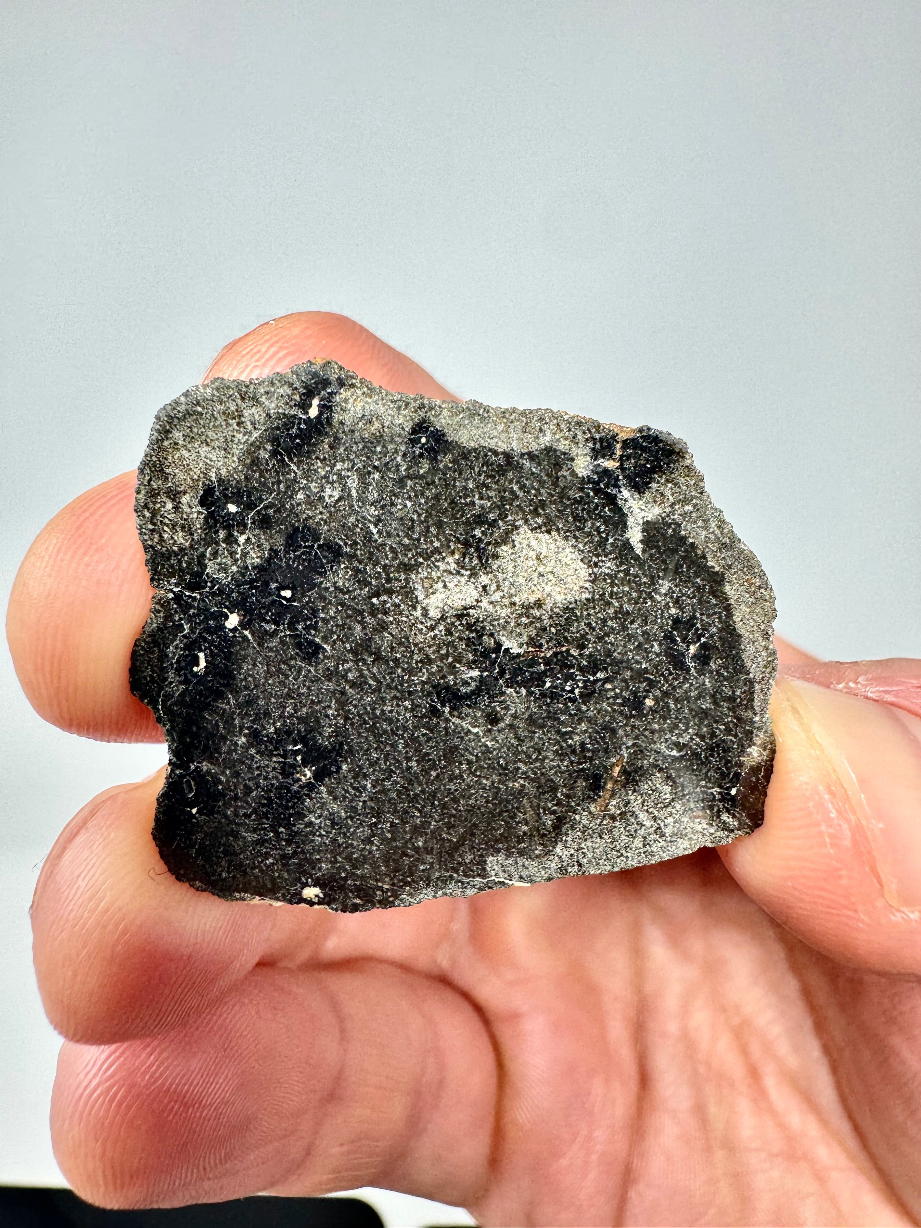 7.1g Genuine Martian Meteorite with Aqueous Alteration - NWA 18281 - S ...