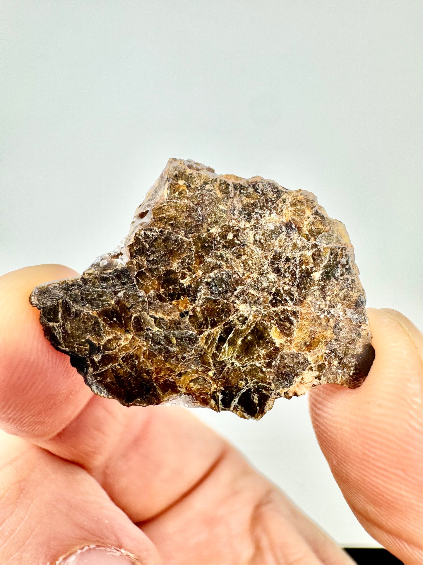 2.9g NWA 16317 Translucent Diogenite Meteorite - Parent Body: Asteroid Vesta