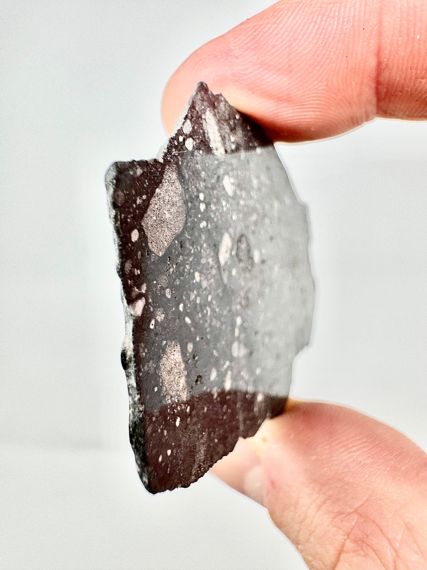 Stunning NWA 17679 Lunar Breccia - 4.8g - A Genuine Piece Of Our Moon!