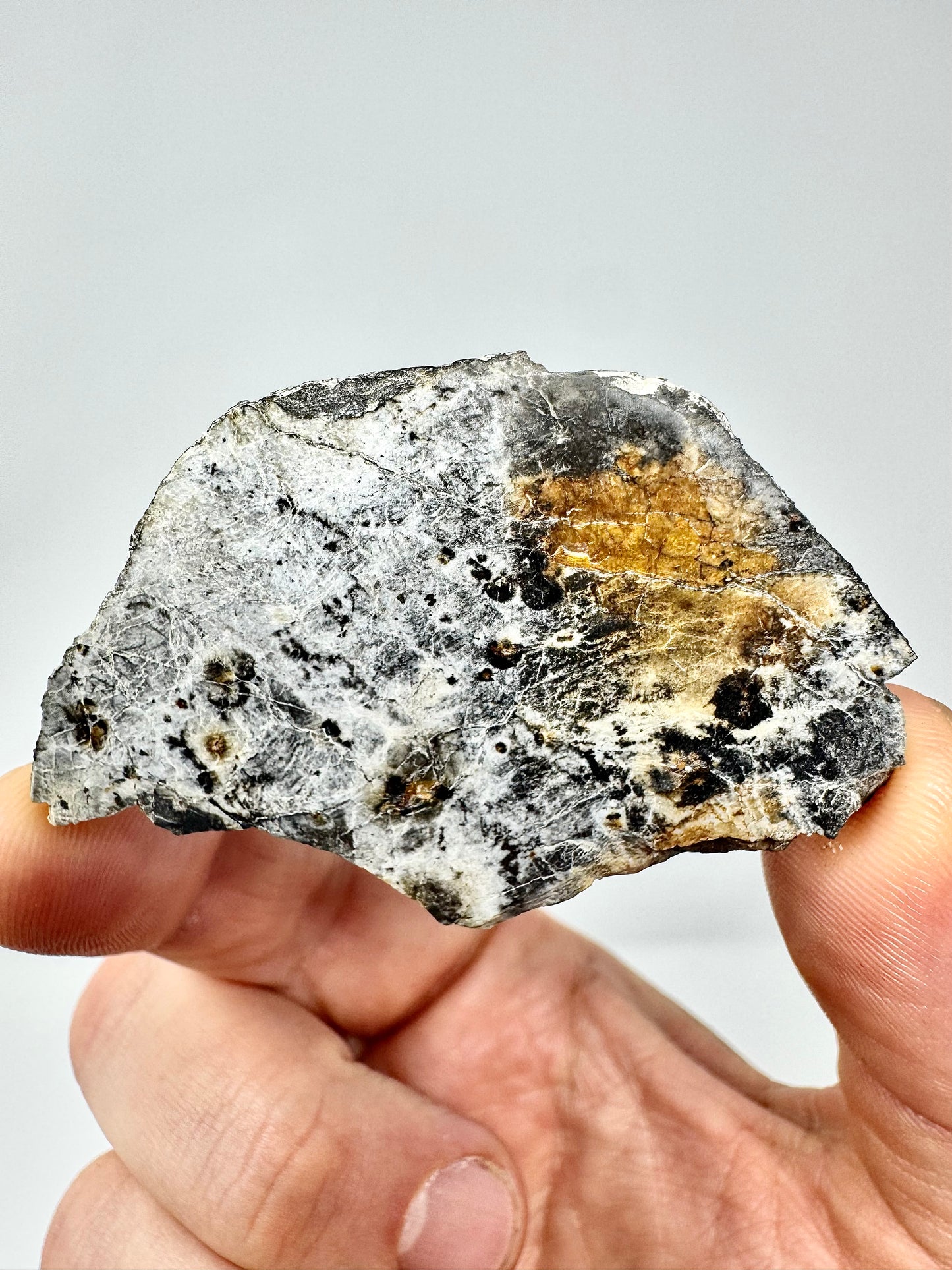 20.7g Djoua 001 Enstatite Achondrite Meteorite - Thick Cut! Evidence of Planet Mercury - Marble Appearance