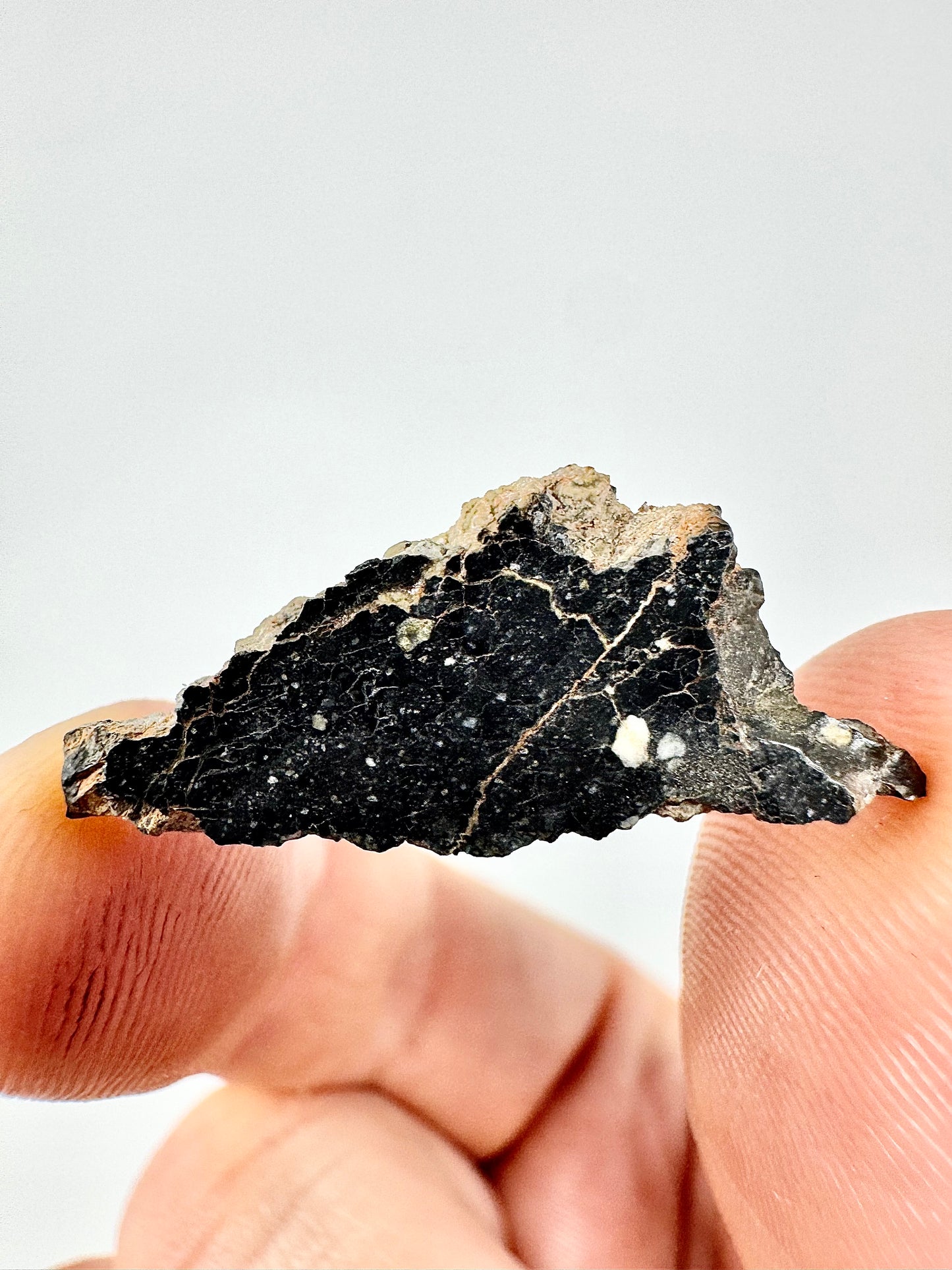Mesmerizing NWA 13951 “Starry Night” Lunar Meteorite Slice - 1.4g