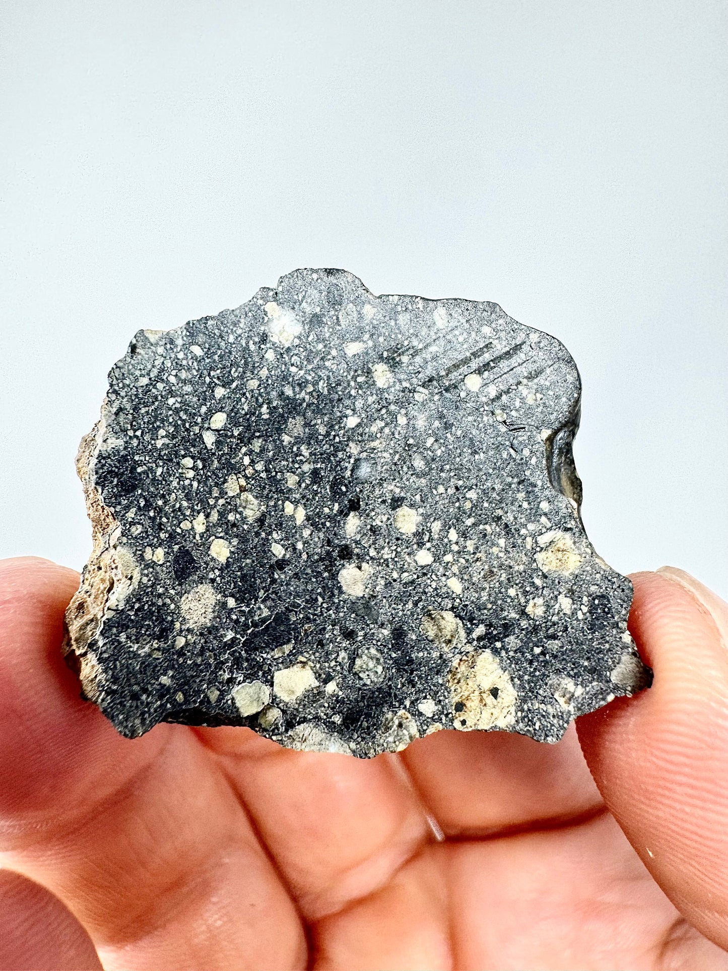 6.3g Stunning Diogenite Meteorite Under Classification - Beautiful Matrix! Parent Body: Asteroid Vesta