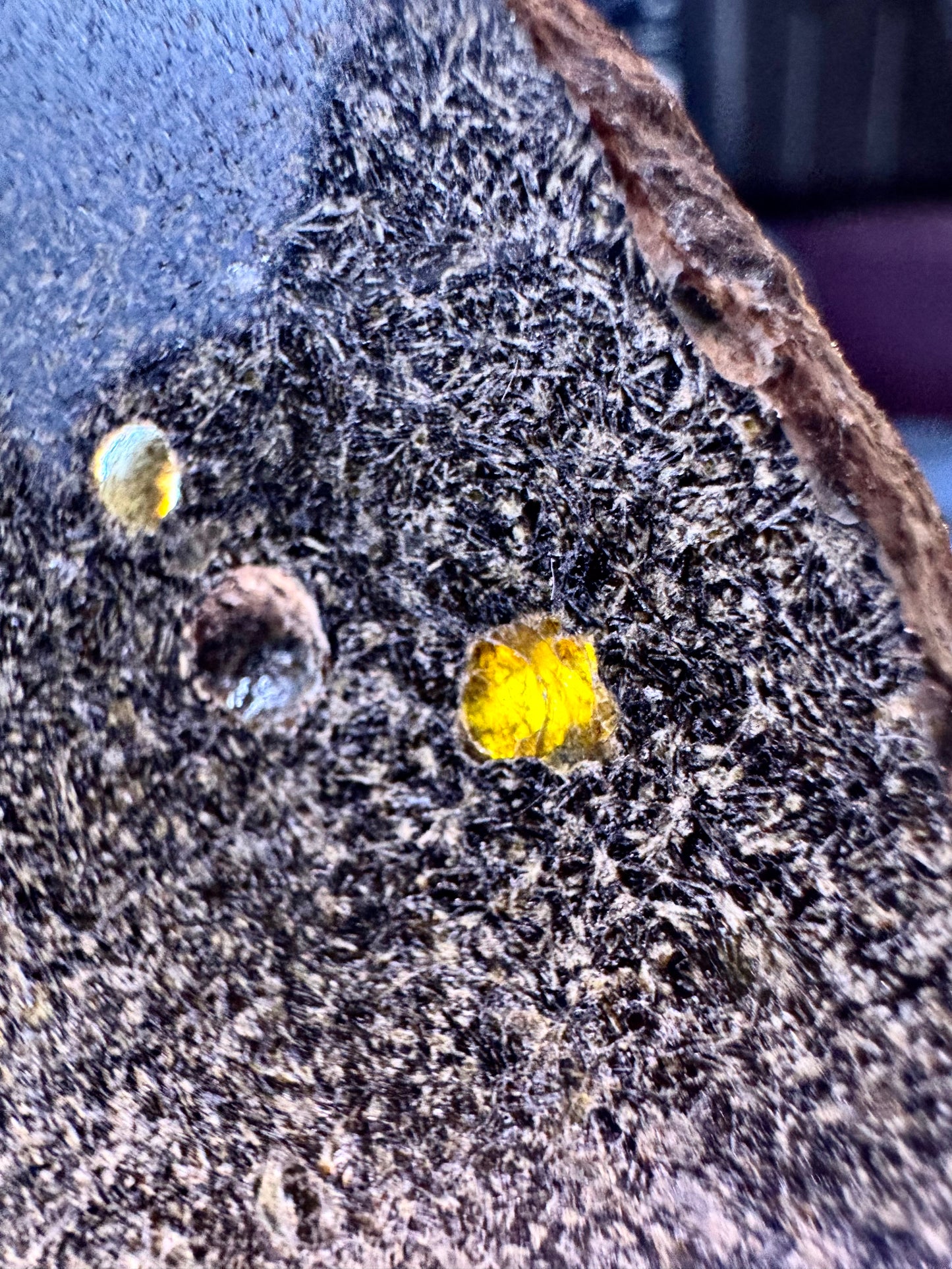 NEA 120 Full Slice - A Rare, Vesicular Angrite Meteorite w/ Needle-Like Matrix And Translucent Crystals! 15.6g