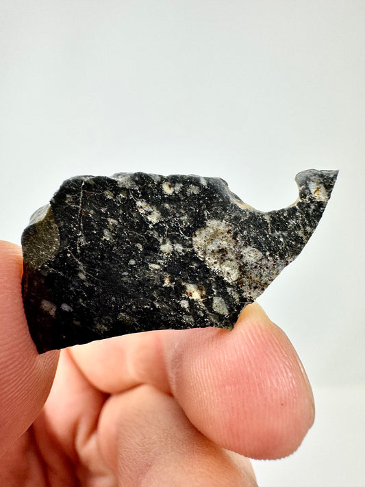 NEW! 2.4g Newly Discovered Lunar Breccia - A Genuine Piece Of Our Moon!