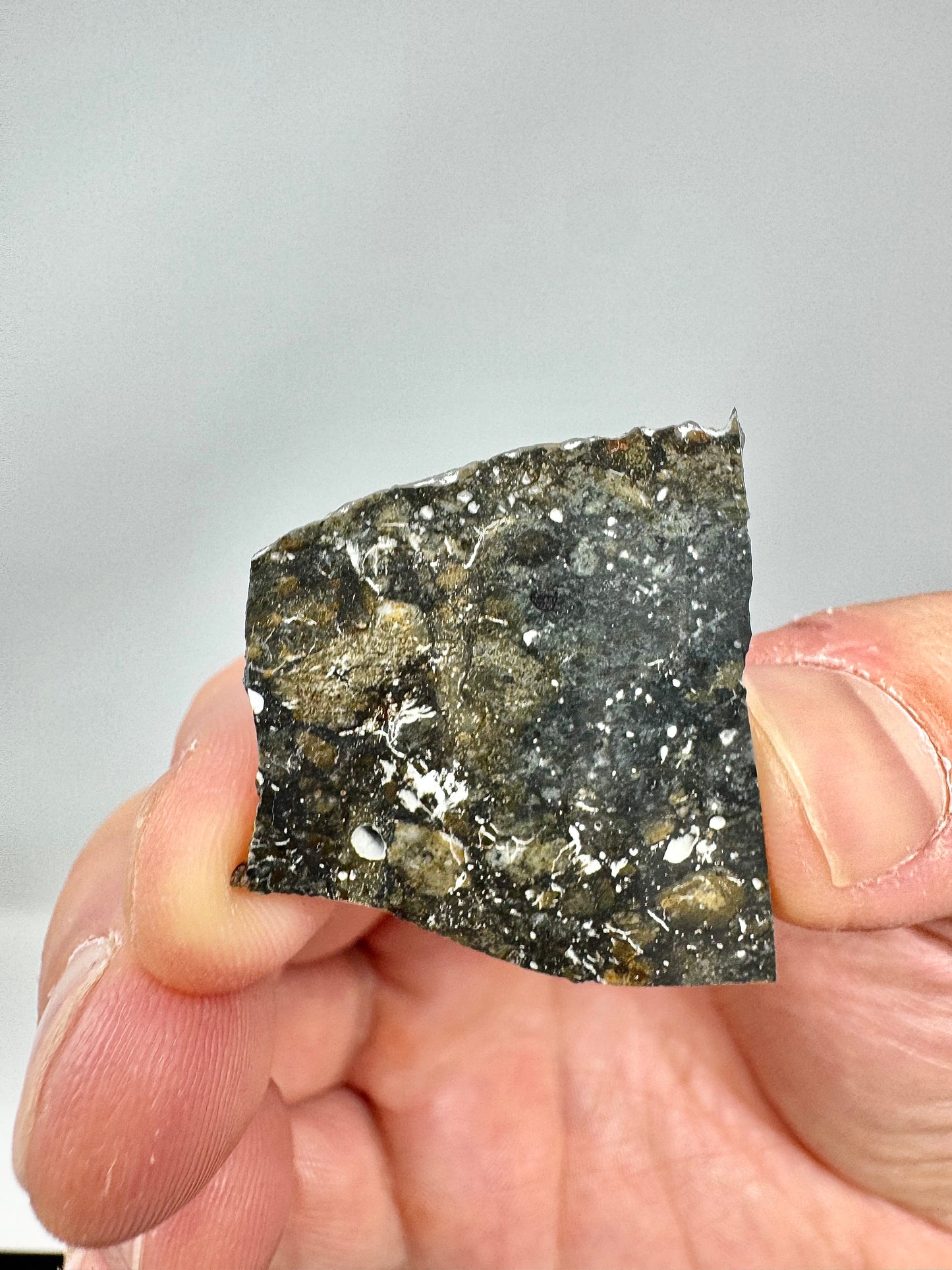 4.1g NWA 17680 “The Blue Lunar” Breathtaking Lunar Melt Breccia With Blue Tint, Vugs and Metal Impactors! A Genuine Stone From Our Moon!