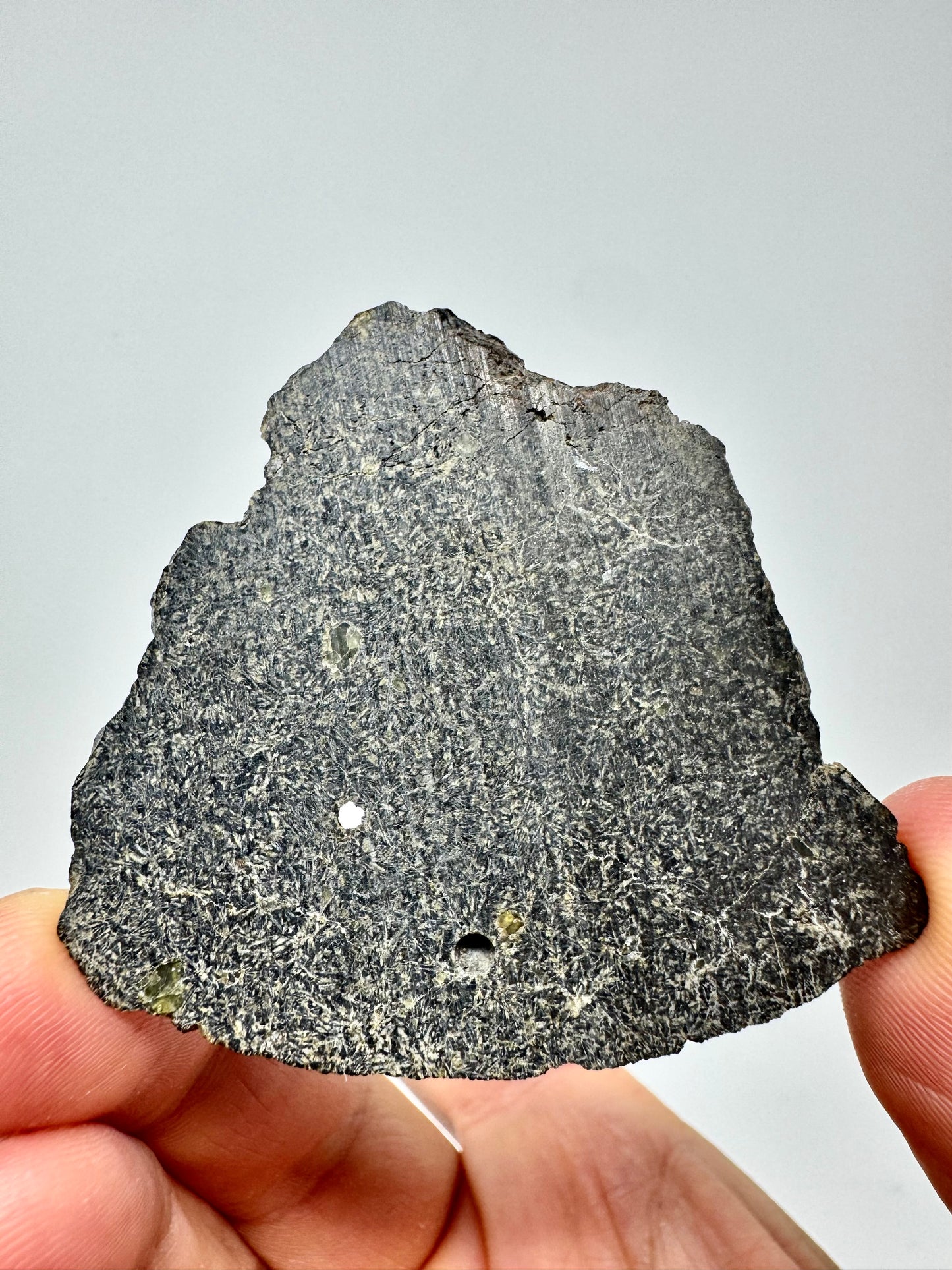 NEA 120 Full Slice - A Rare, Vesicular Angrite Meteorite w/ Needle-Like Matrix And Translucent Crystals! 15.6g
