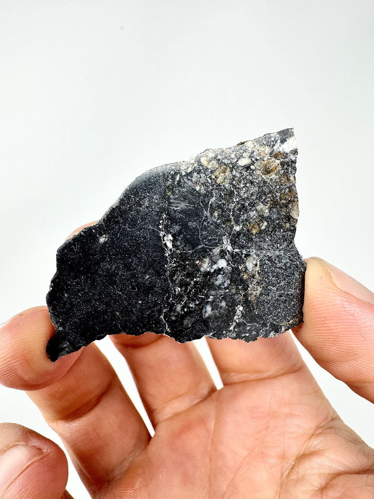 NEW: 10.5g Jaw-Dropping Personal Classification of NWA 18785 Aubrite - Fragmental Monomict Breccia, Enstatite Achondrite Meteorite - Evidence of Possible Linkage To Planet Mercury