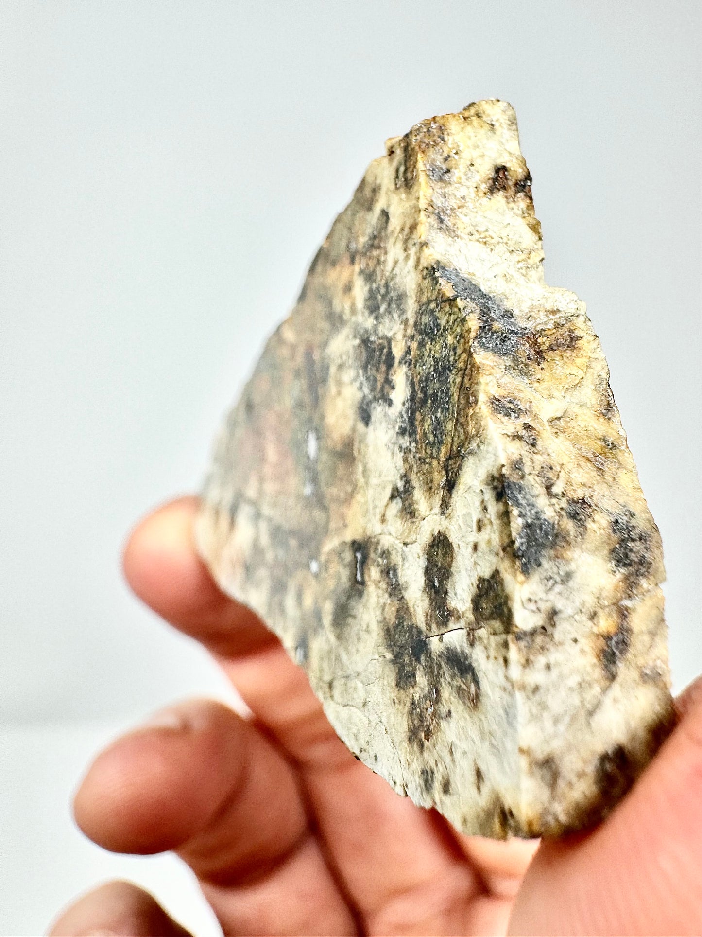 26.6g Djoua 001 Enstatite Achondrite Meteorite - Thick Cut! Evidence of Planet Mercury - Marble Appearance
