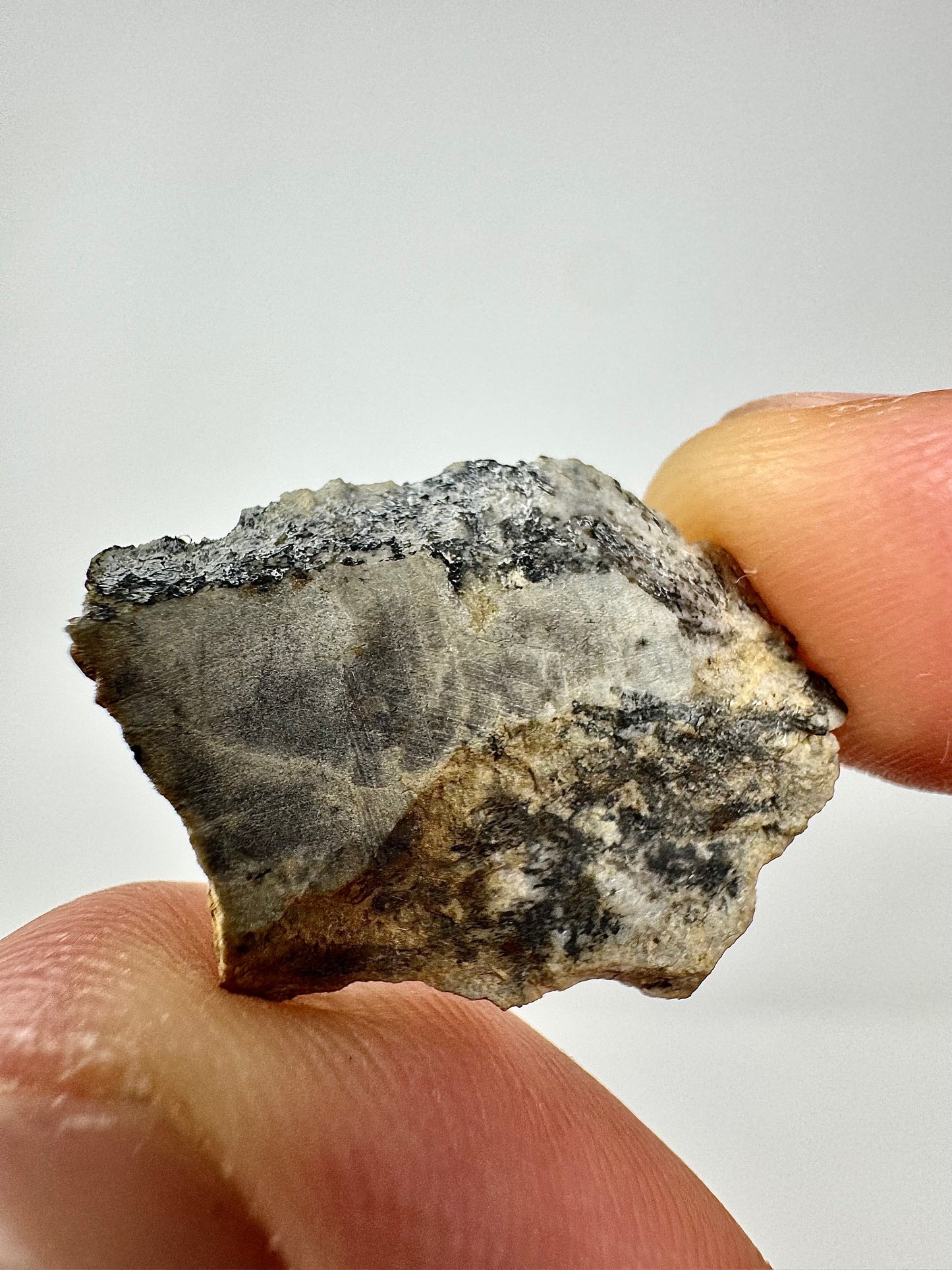 1.9g Djoua 001 Enstatite Achondrite Meteorite - Evidence of Planet Mercury - Marble Appearance