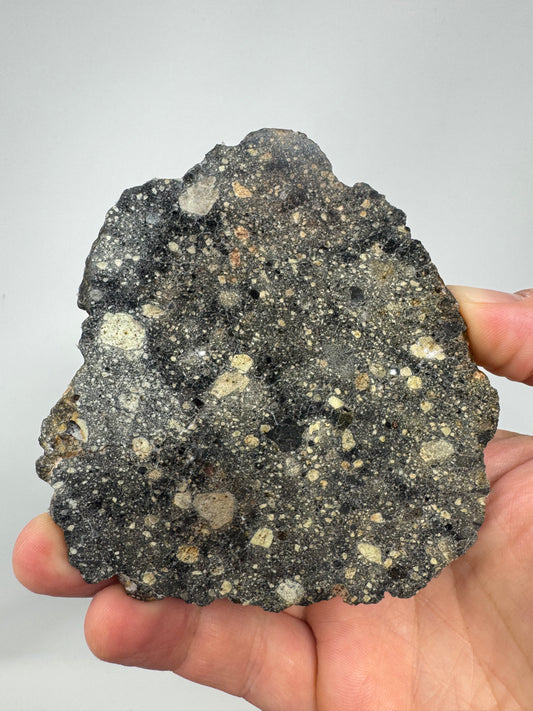 NEW! 174.6g MAIN MASS Stunning Diogenite Meteorite Under Classification - Beautiful Matrix! Parent Body: Asteroid Vesta