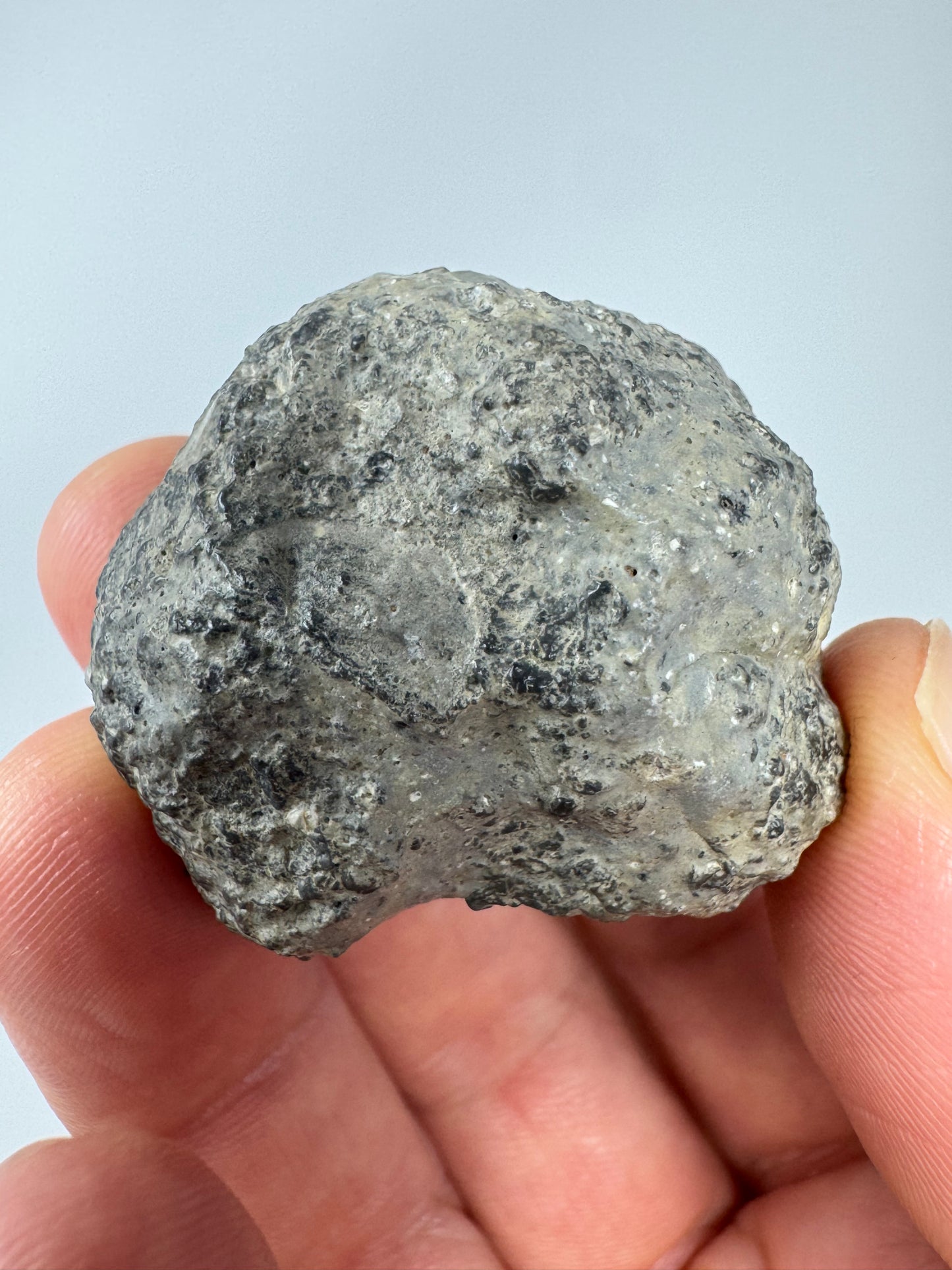 43.0g Lunar Troctolitic Melt - WHOLE STONE! A Rare Lunar Meteorite From Deep Within The Moon