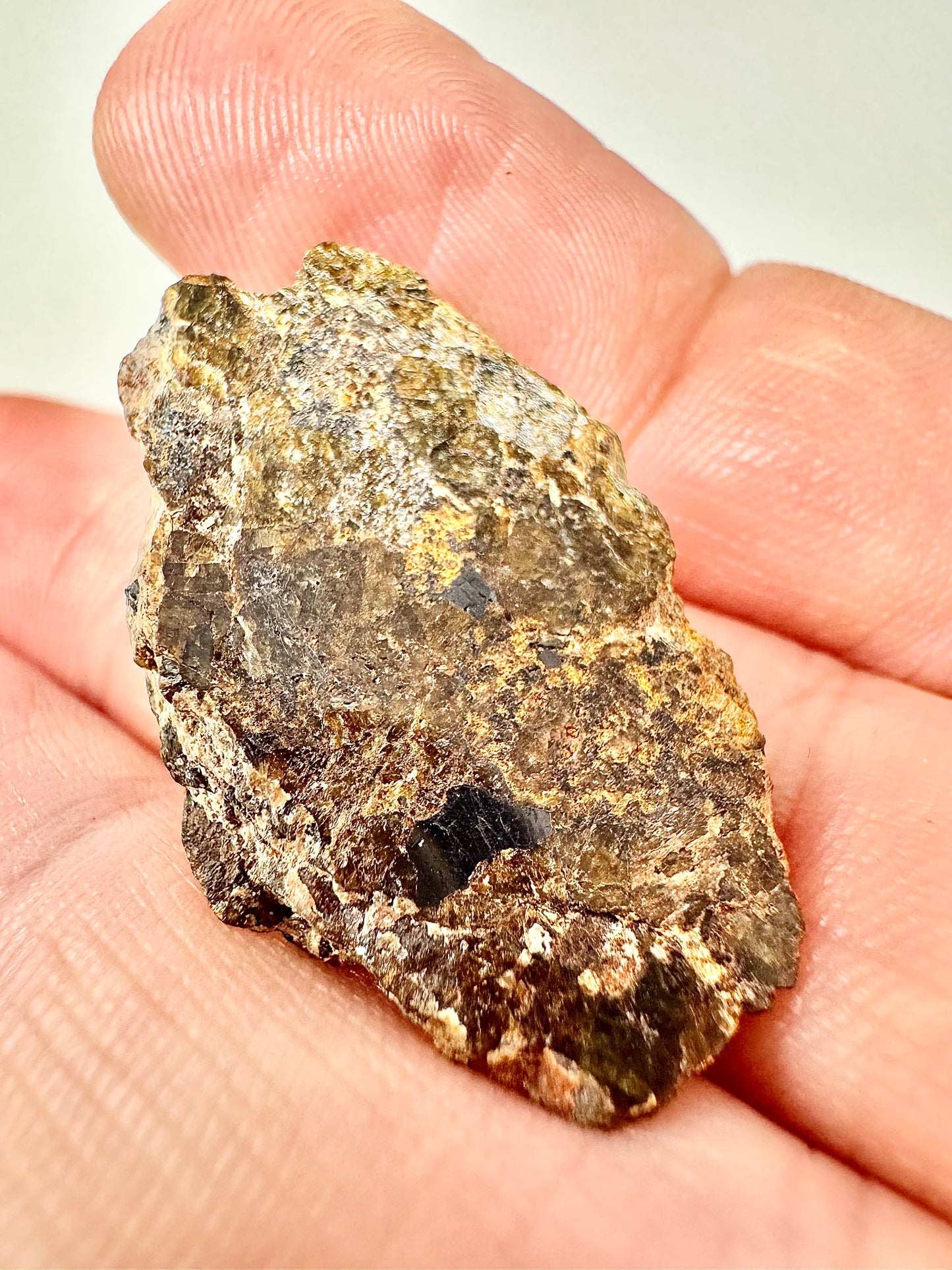 5.2g END CUT NWA 16317 Translucent Diogenite Meteorite - Parent Body: Asteroid Vesta