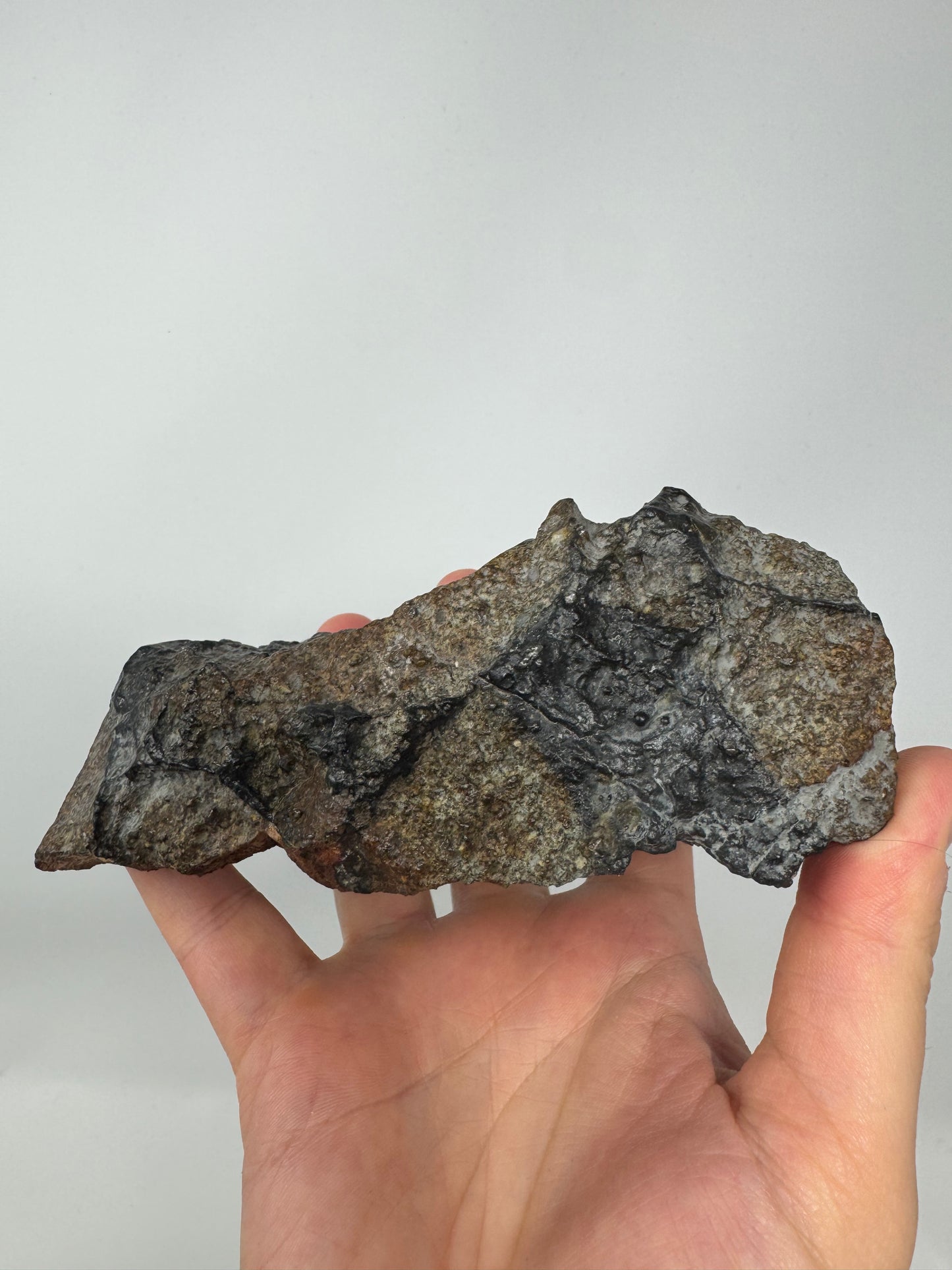 NEW! NWA 17273 Massive L5 Melt Breccia Meteorite End Cut w/ Jet Black Fusion Crust - From An Asteroid! 964.5g