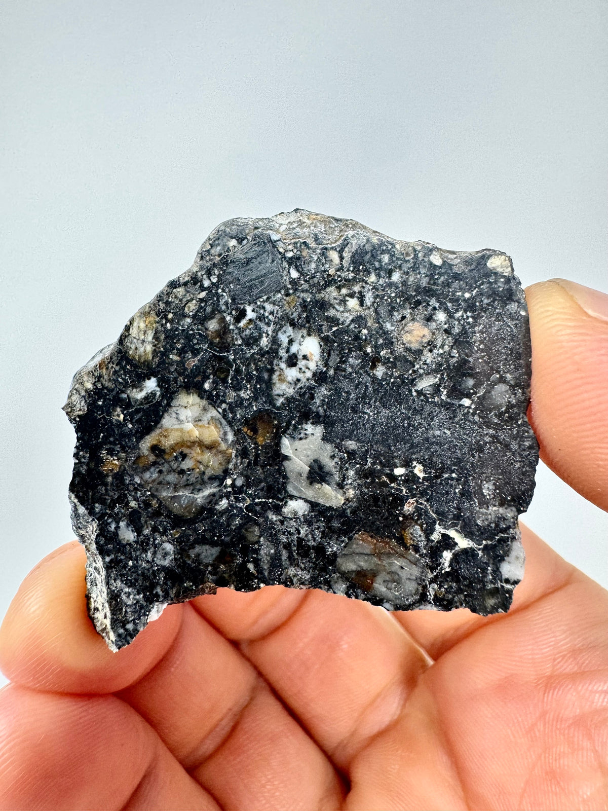 NEW: 10.4g Personal Classification of NWA 18785 Aubrite - Fragmental Monomict Breccia, Enstatite Achondrite Meteorite - Evidence of Possible Linkage To Planet Mercury