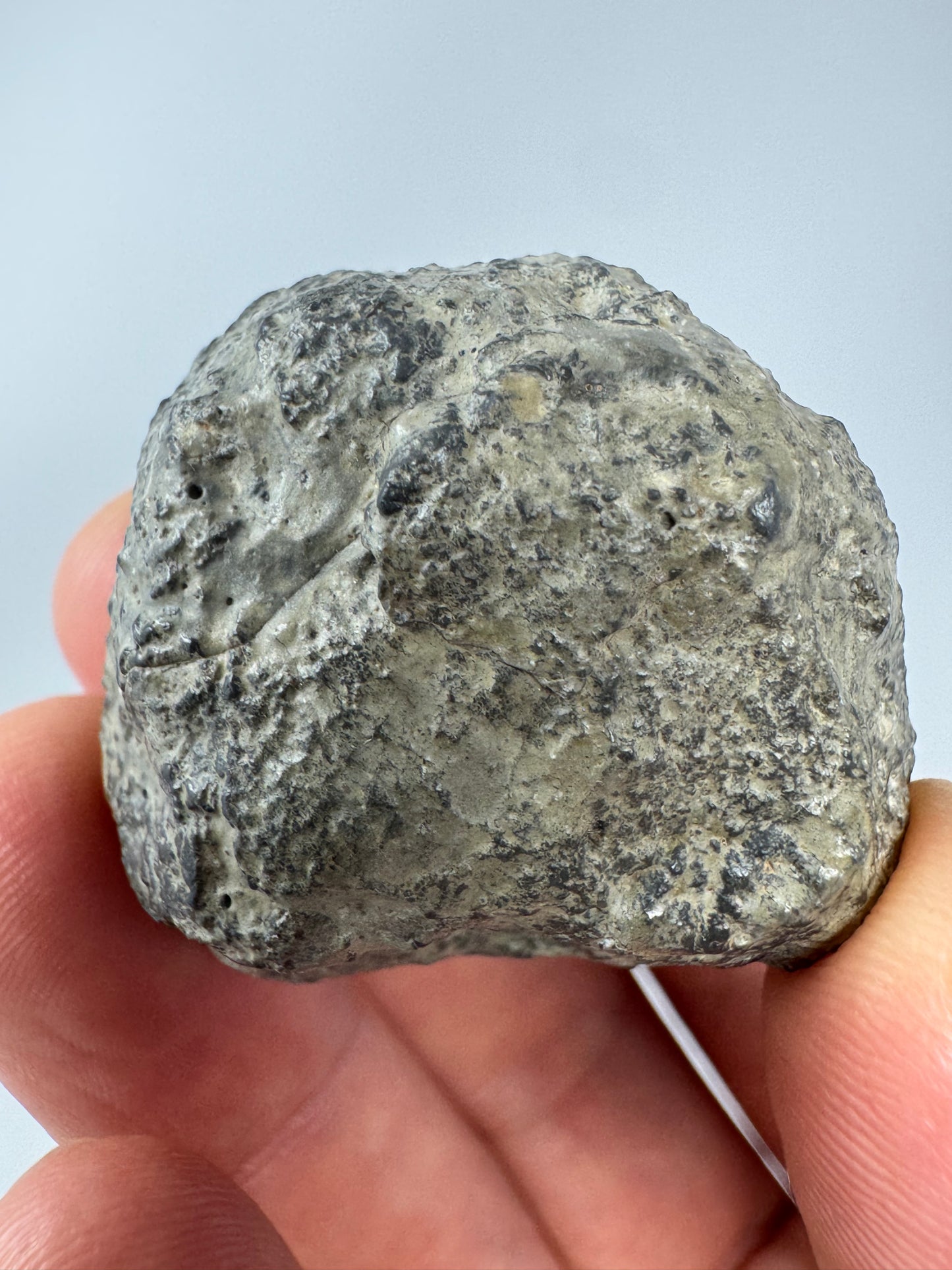 43.0g Lunar Troctolitic Melt - WHOLE STONE! A Rare Lunar Meteorite From Deep Within The Moon