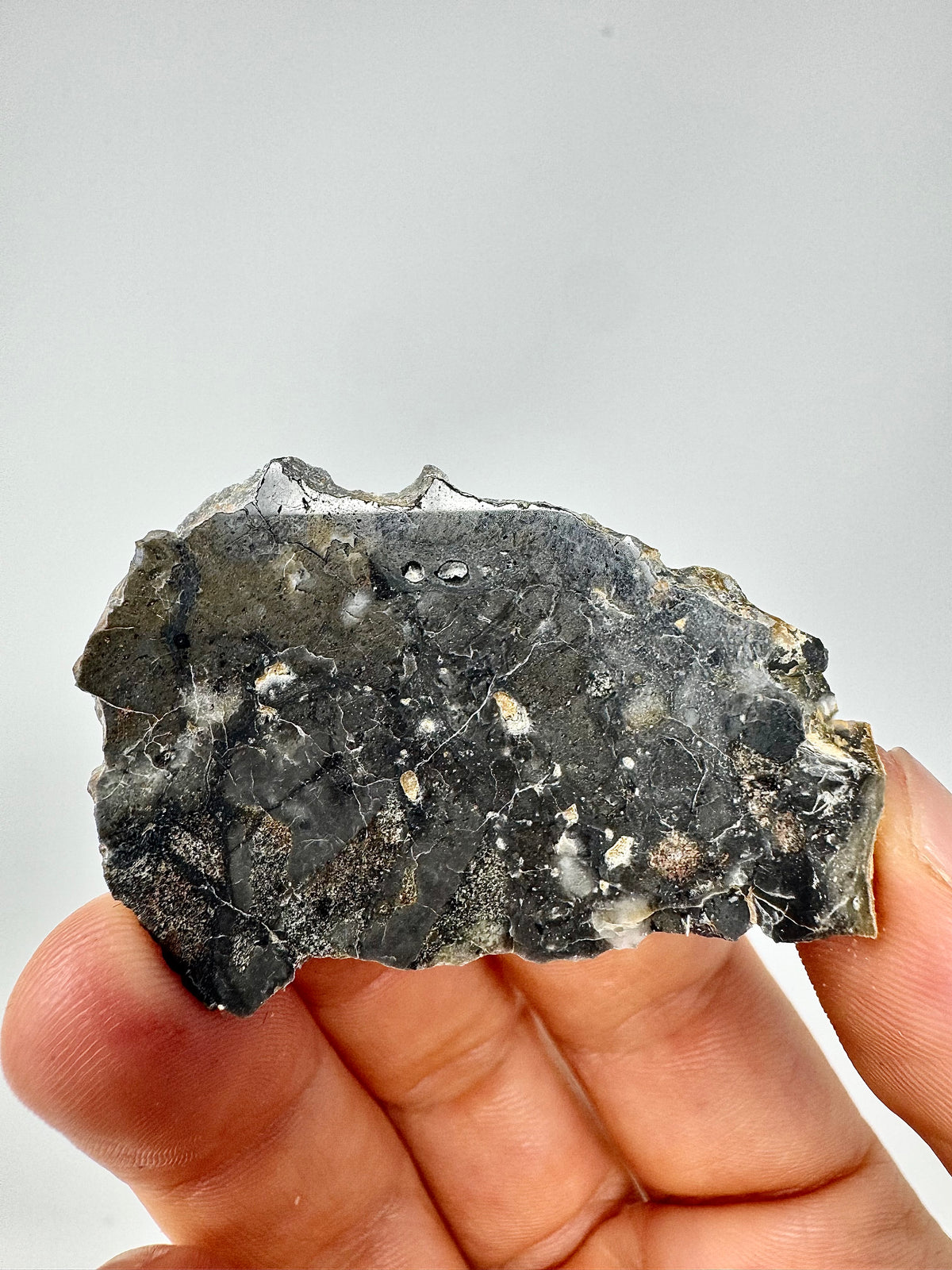 6.7g Adrar 017 Lunar Meteorite - A Rare Gabbro/Norite - From The Moon!