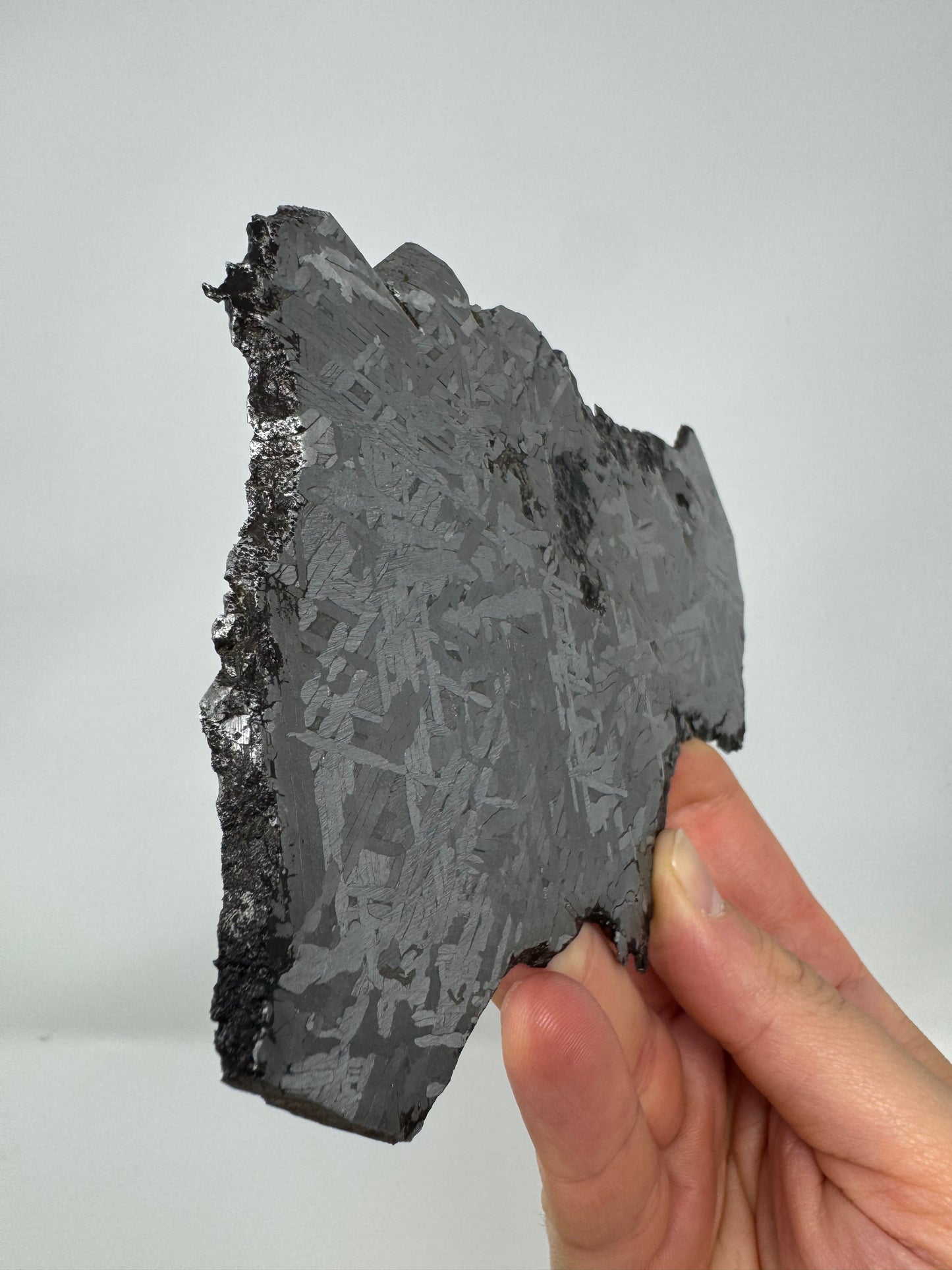 Historical Toluca Meteorite Found in 1776! Used As Tools For Centuries! From The Core Of An Asteroid! 297.6g