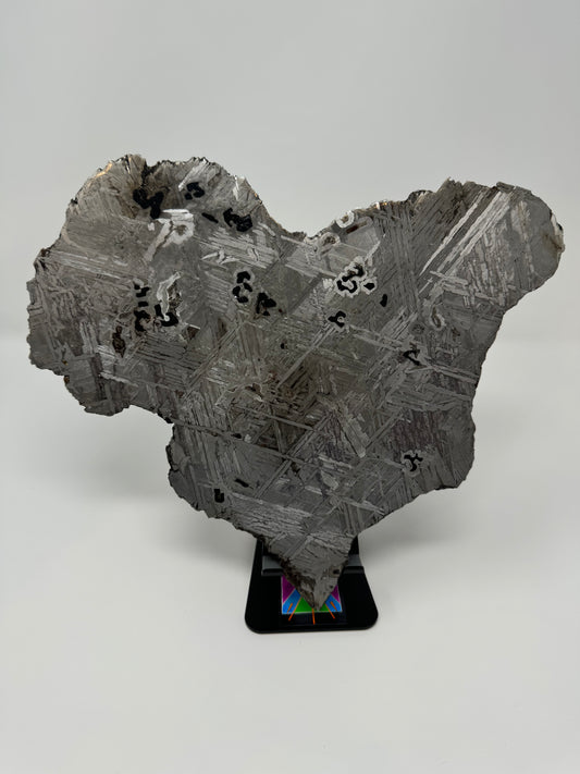 Seymchan Pallasite Meteorite - 1,474.18g - HUGE, Full Slice End Cut!