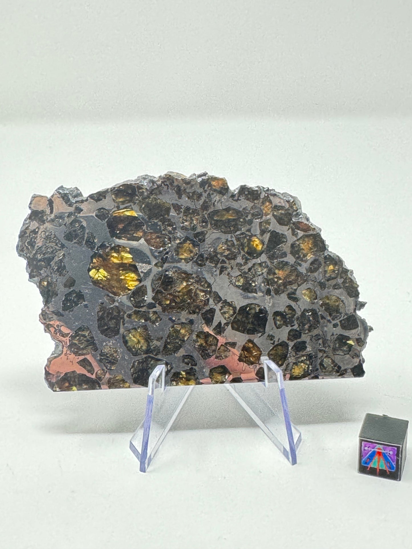 Brahin Pallasite Meteorite - 52.9g - From The Mantle/Core Of An Asteroid