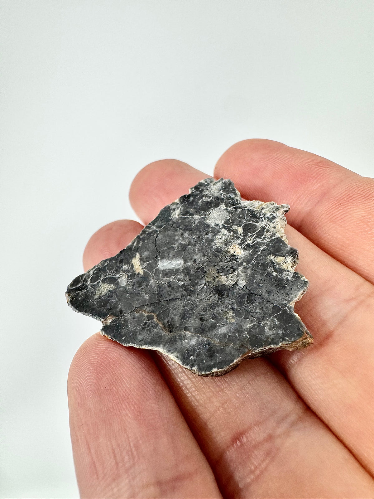 5.6g Adrar 017 Lunar Meteorite - A Rare Gabbro/Norite - From The Moon!