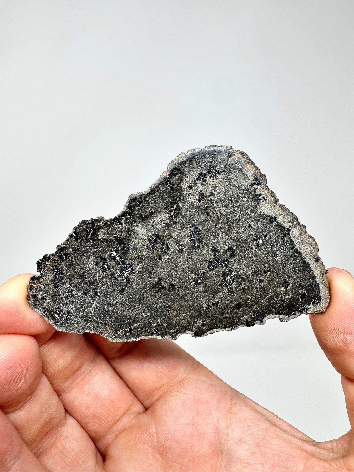 NEW/FULL SLICE: 18.8g Genuine Martian Meteorite - Scientifically Studied Rock From Planet Mars w/ Aqueous Alteration - NWA 18281