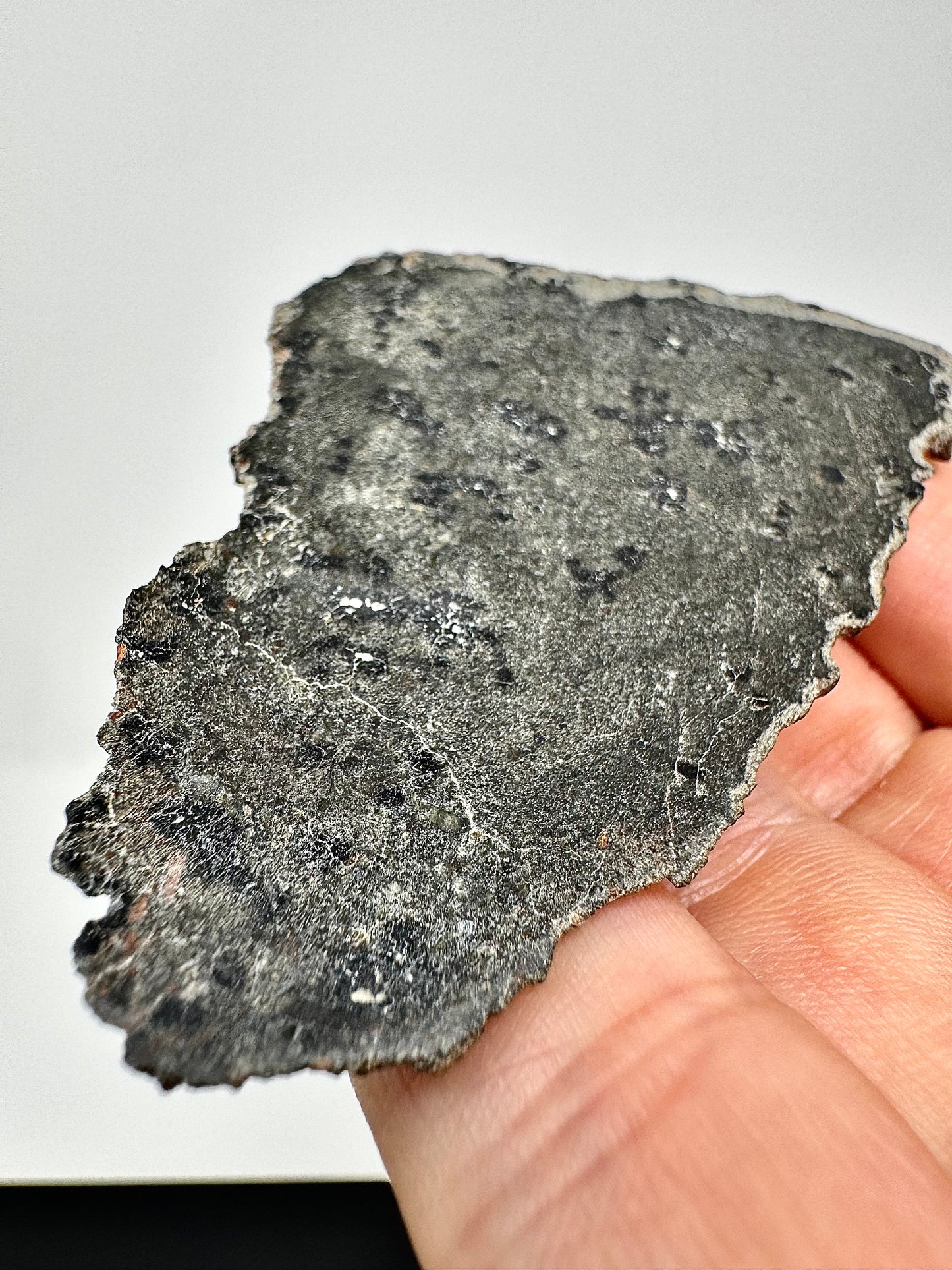 NEW/FULL SLICE: 18.8g Genuine Martian Meteorite - Scientifically Studied Rock From Planet Mars w/ Aqueous Alteration - NWA 18281