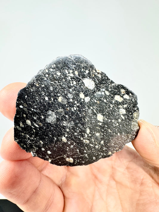 NEW! 49.5 Newly Discovered Lunar Breccia - MAIN MASS/END CUT! A Genuine Piece Of Our Moon!