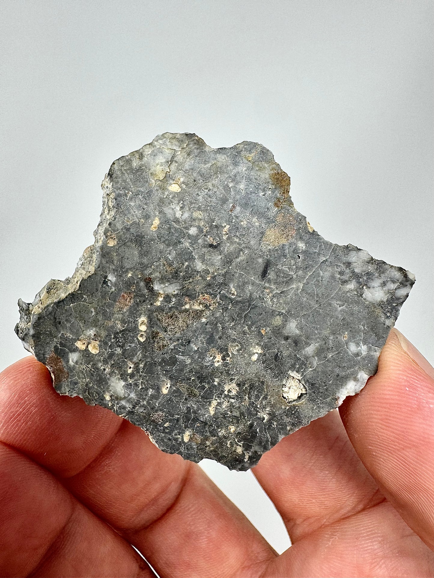 12.7g Adrar 017 Lunar Meteorite - A Rare Gabbro/Norite - From Our Moon!