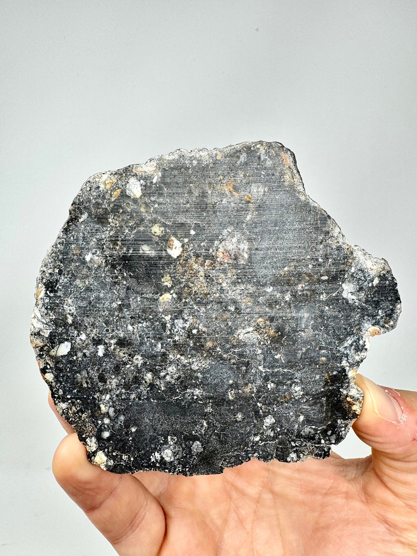 NEW! 63.4g FULL SLICE Jaw-Dropping Personal Classification of NWA 18785 Aubrite - Fragmental Monomict Breccia, Enstatite Achondrite Meteorite - Evidence of Possible Linkage To Planet Mercury