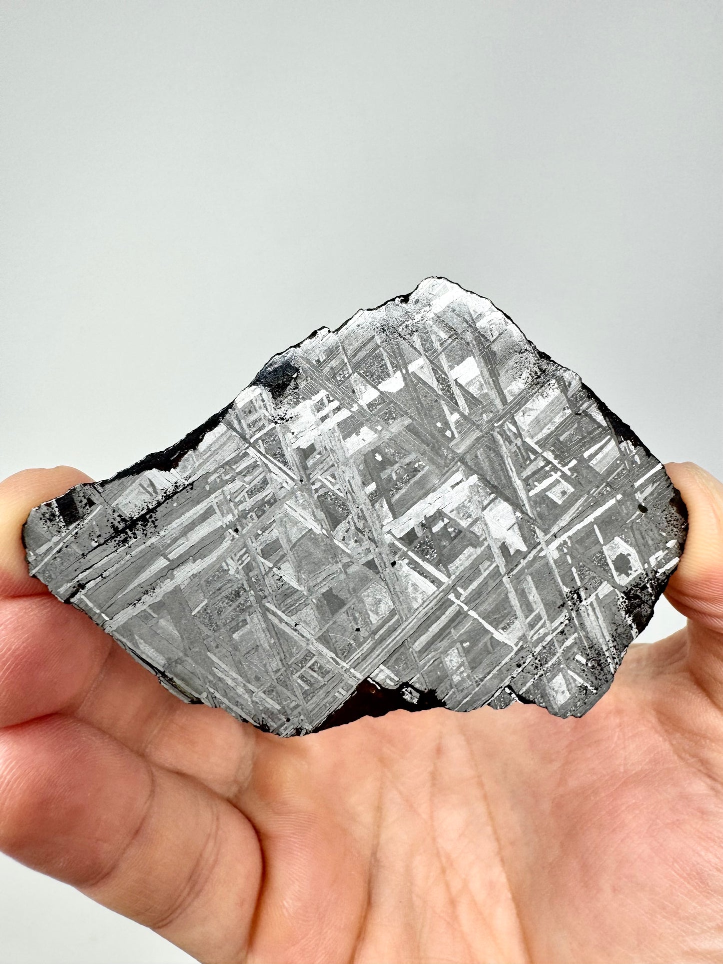 Muonionalusta Iron Meteorite - 50.9g Full Slice - From The Core Of An Asteroid!