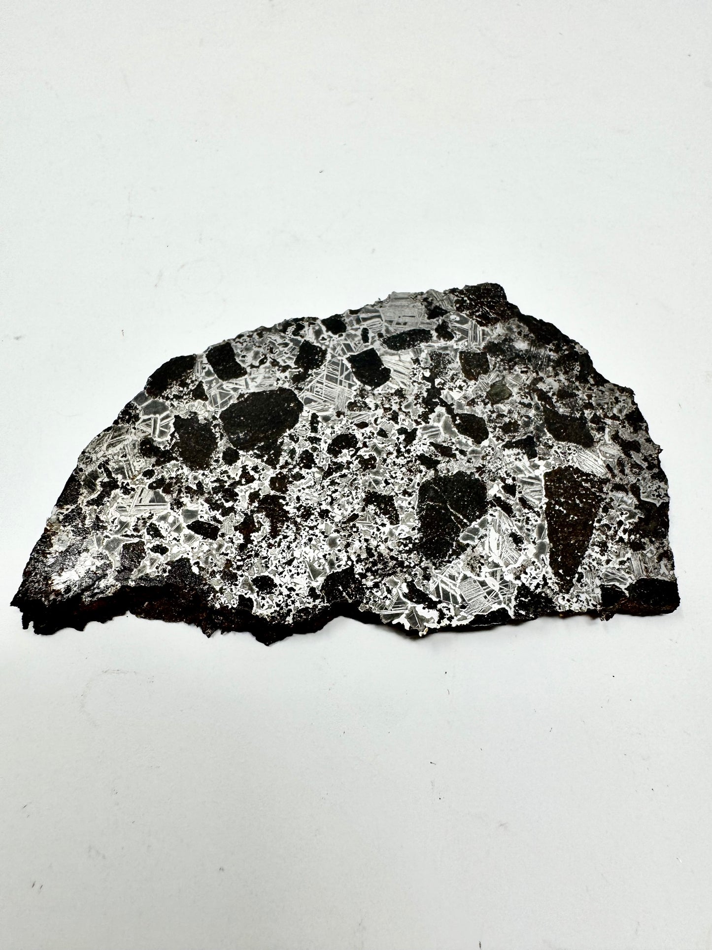 NEW! 43.7g Extremely High Iron Winonaite Meteorite Under Study - A Primitive Achondrite!