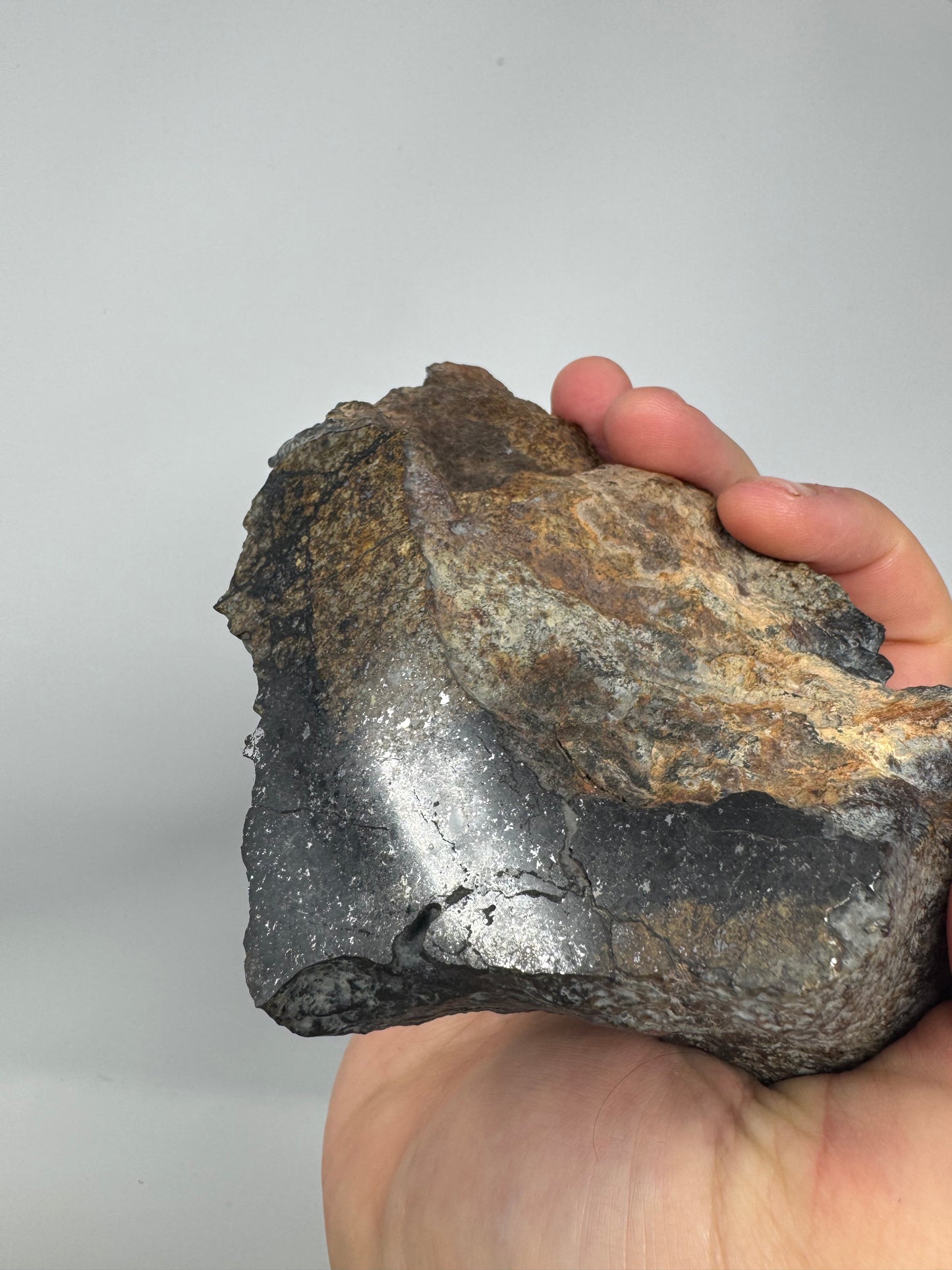 NEW! NWA 17273 Massive L5 Melt Breccia Meteorite End Cut w/ Jet Black Fusion Crust - From An Asteroid! 964.5g