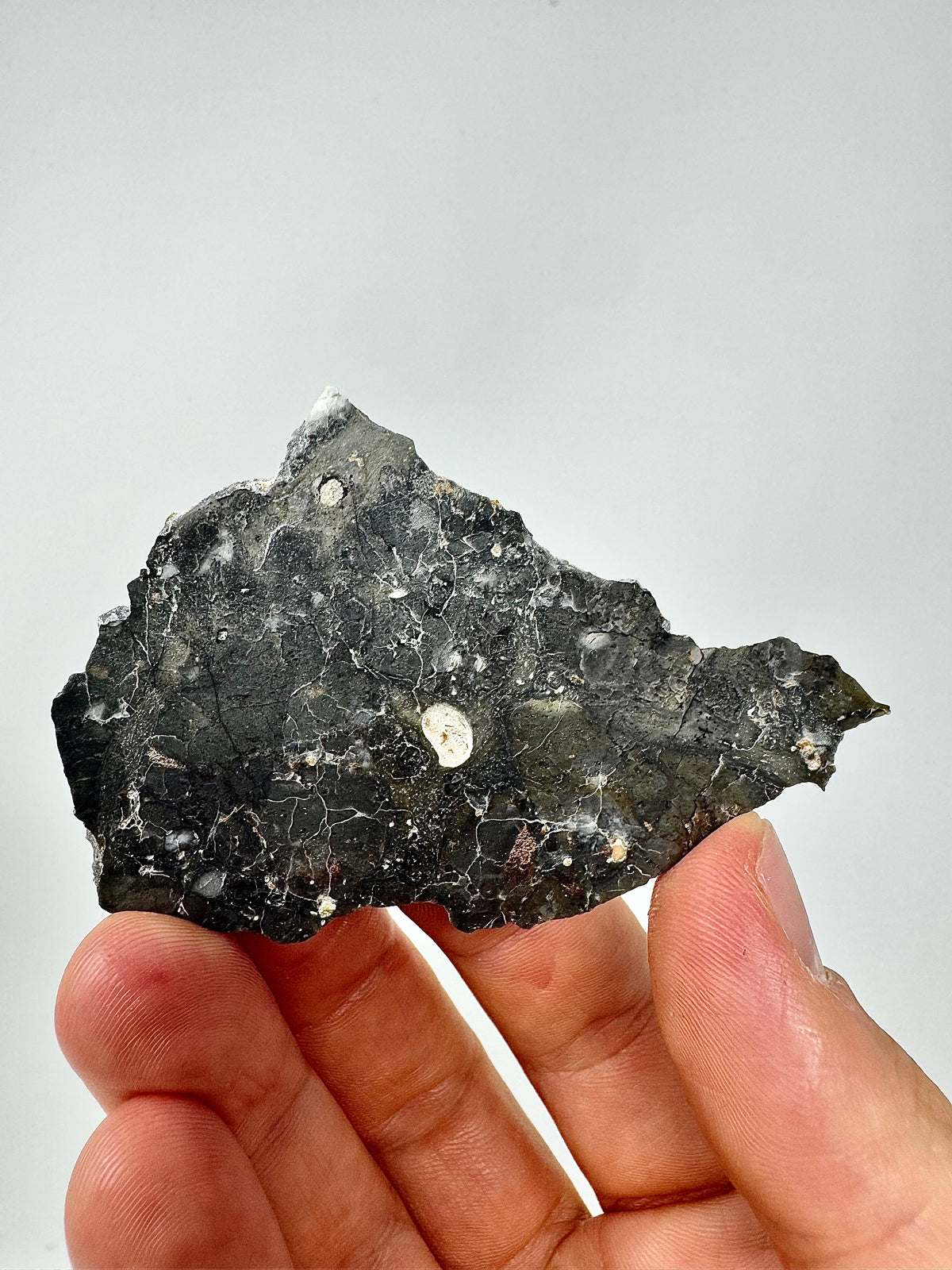 13.2g Adrar 017 Lunar Meteorite - A Rare Gabbro/Norite - From The Moon!