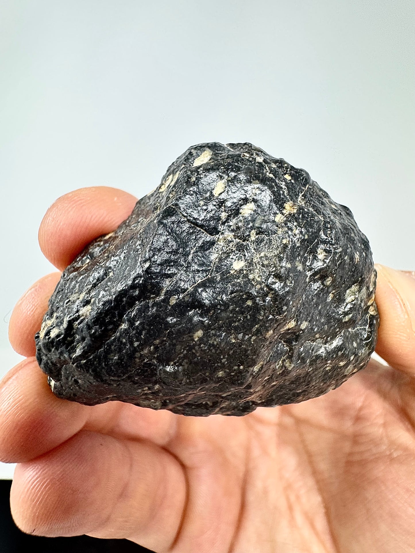 NEW! 49.5 Newly Discovered Lunar Breccia - MAIN MASS/END CUT! A Genuine Piece Of Our Moon!