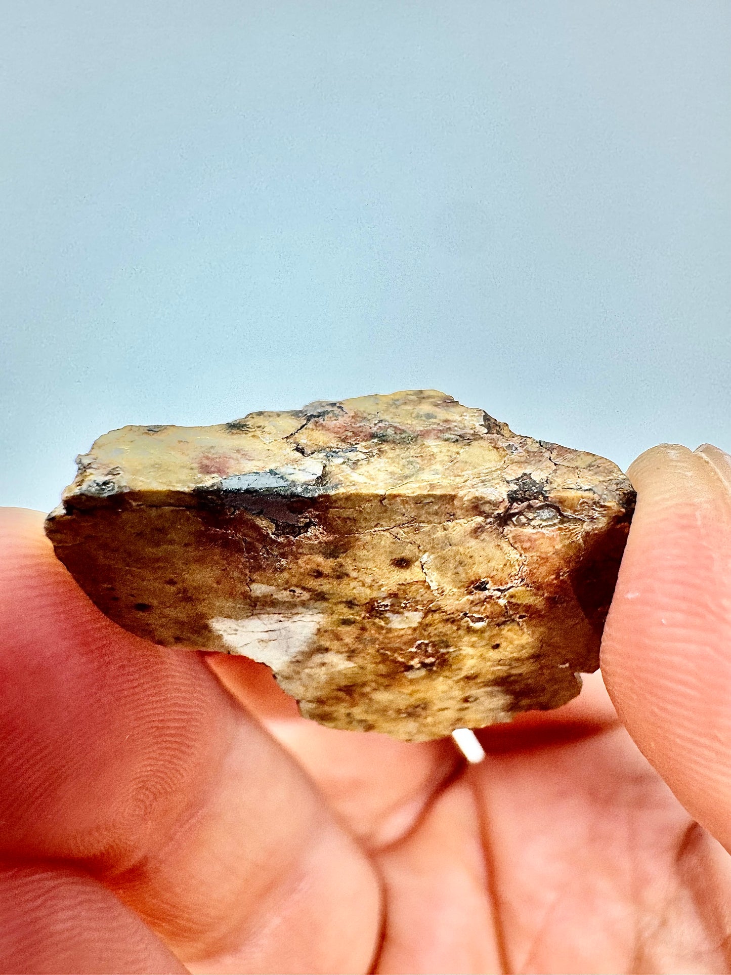 7.0g Djoua 001 Enstatite Achondrite Meteorite - END CUT - Evidence of Planet Mercury - Marble Appearance