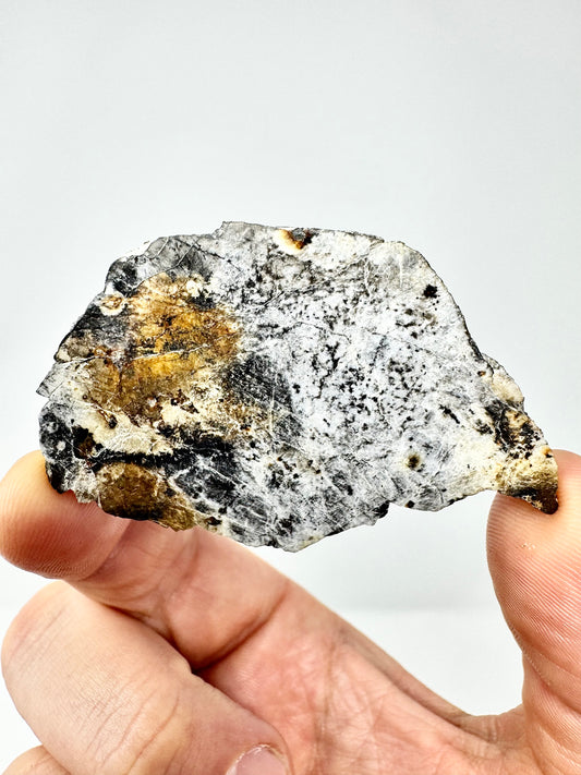 20.7g Djoua 001 Enstatite Achondrite Meteorite - Thick Cut! Evidence of Planet Mercury - Marble Appearance