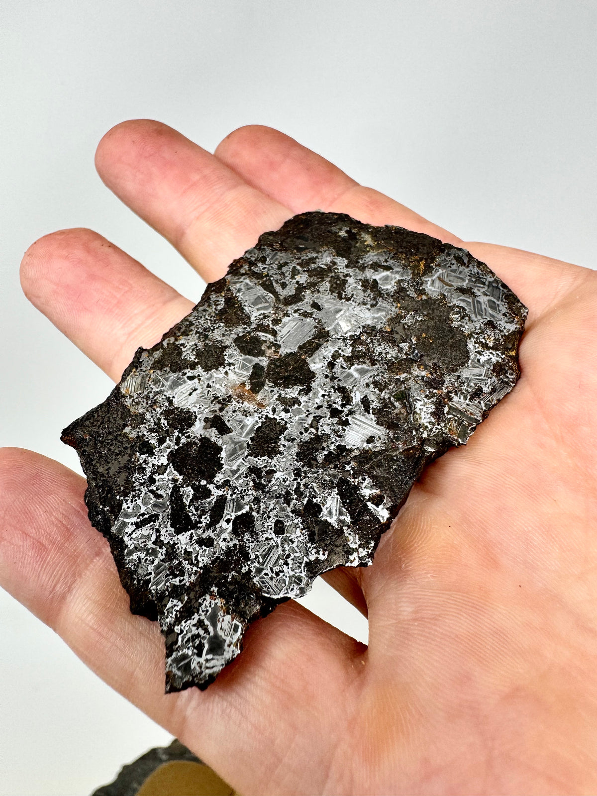 NEW! 57.3g Tessalit 001 - Extremely High Iron Winonaite Meteorite Under Study - A Primitive Achondrite!
