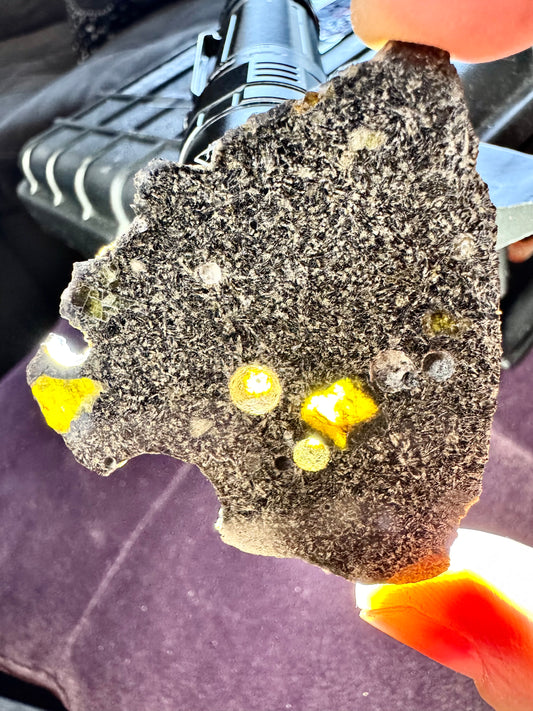 NEA 120 Full Slice - A Rare, Vesicular Angrite Meteorite w/ Needle-Like Matrix And Translucent Crystals! 13.0g