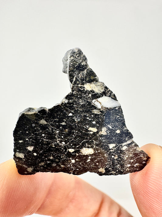 NEW! 3.8g Newly Discovered Lunar Breccia - FULL SLICE - A Genuine Piece Of Our Moon!
