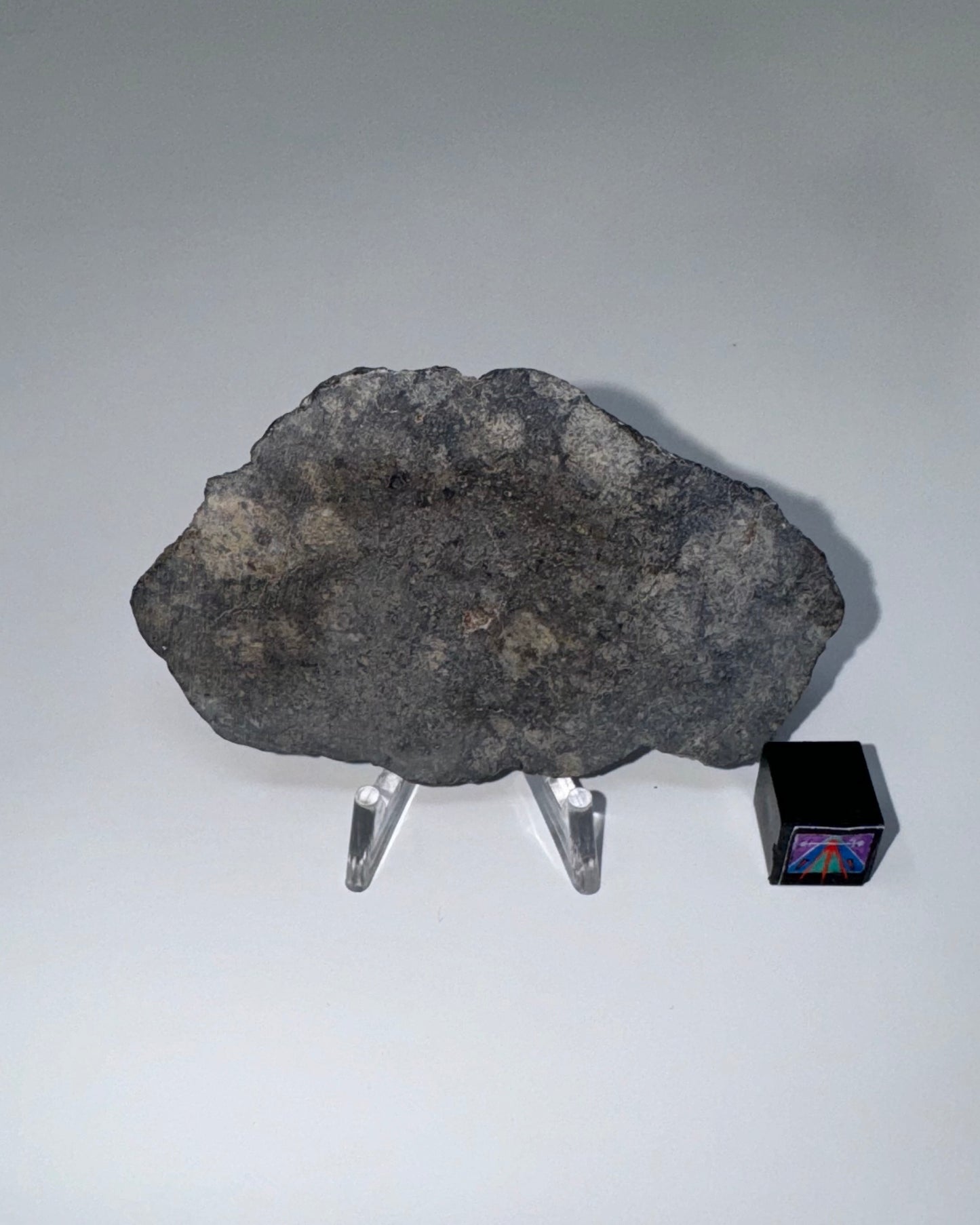 NWA 15923 Eucrite Meteorite - 20.2g (Parent Body: Asteroid)