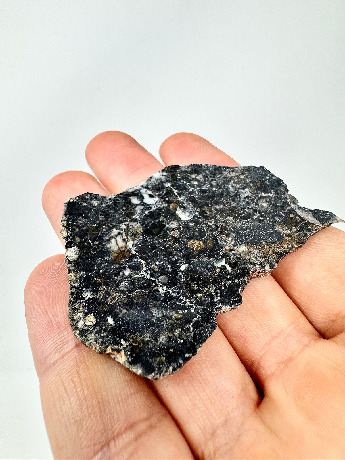 NEW: 18.5g Personal Classification of NWA 18785 Aubrite - Fragmental Monomict Breccia, Enstatite Achondrite Meteorite - Evidence of Possible Linkage To Planet Mercury