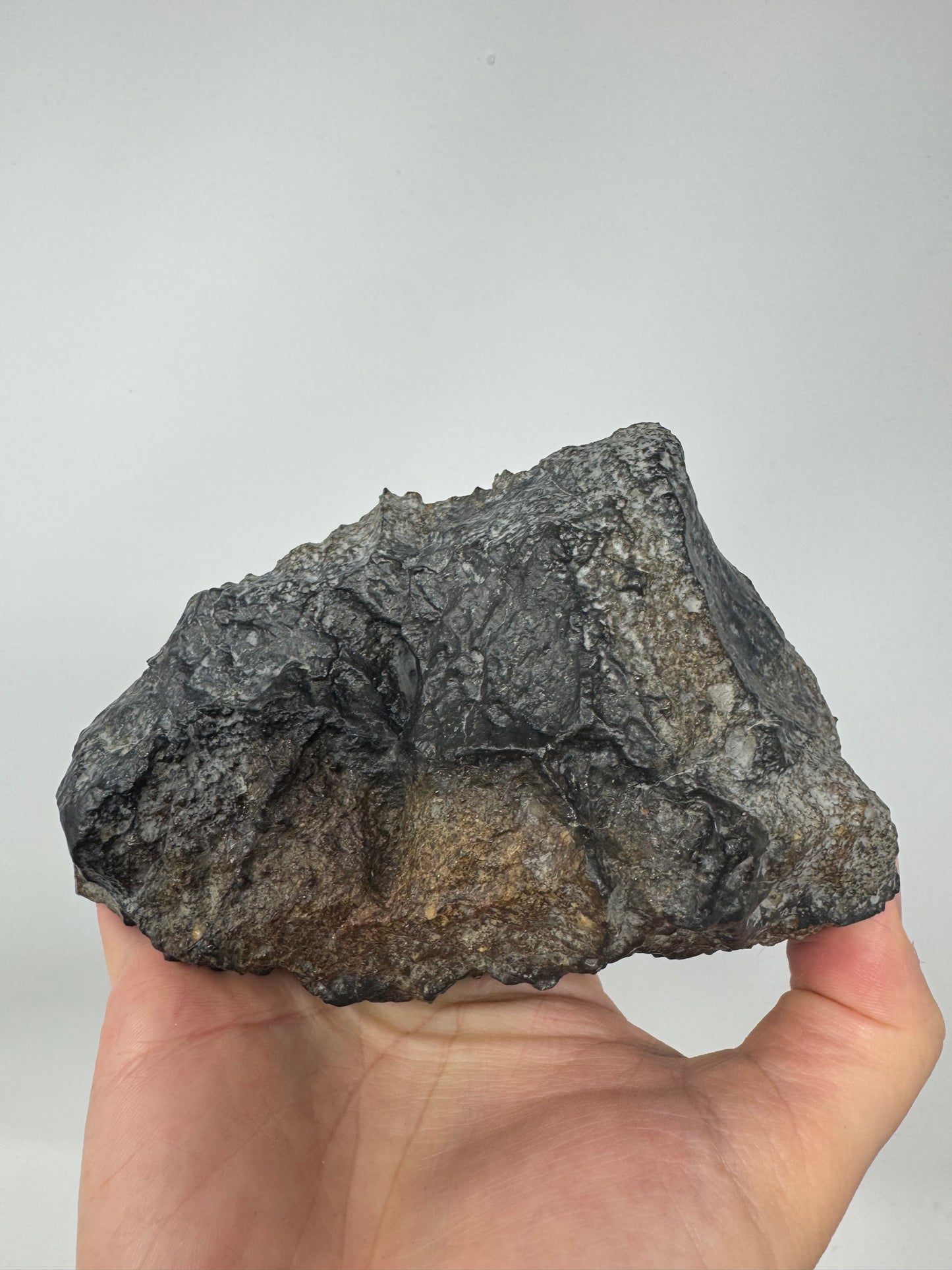 NEW! NWA 17273 Massive L5 Melt Breccia Meteorite End Cut w/ Jet Black Fusion Crust - From An Asteroid! 964.5g