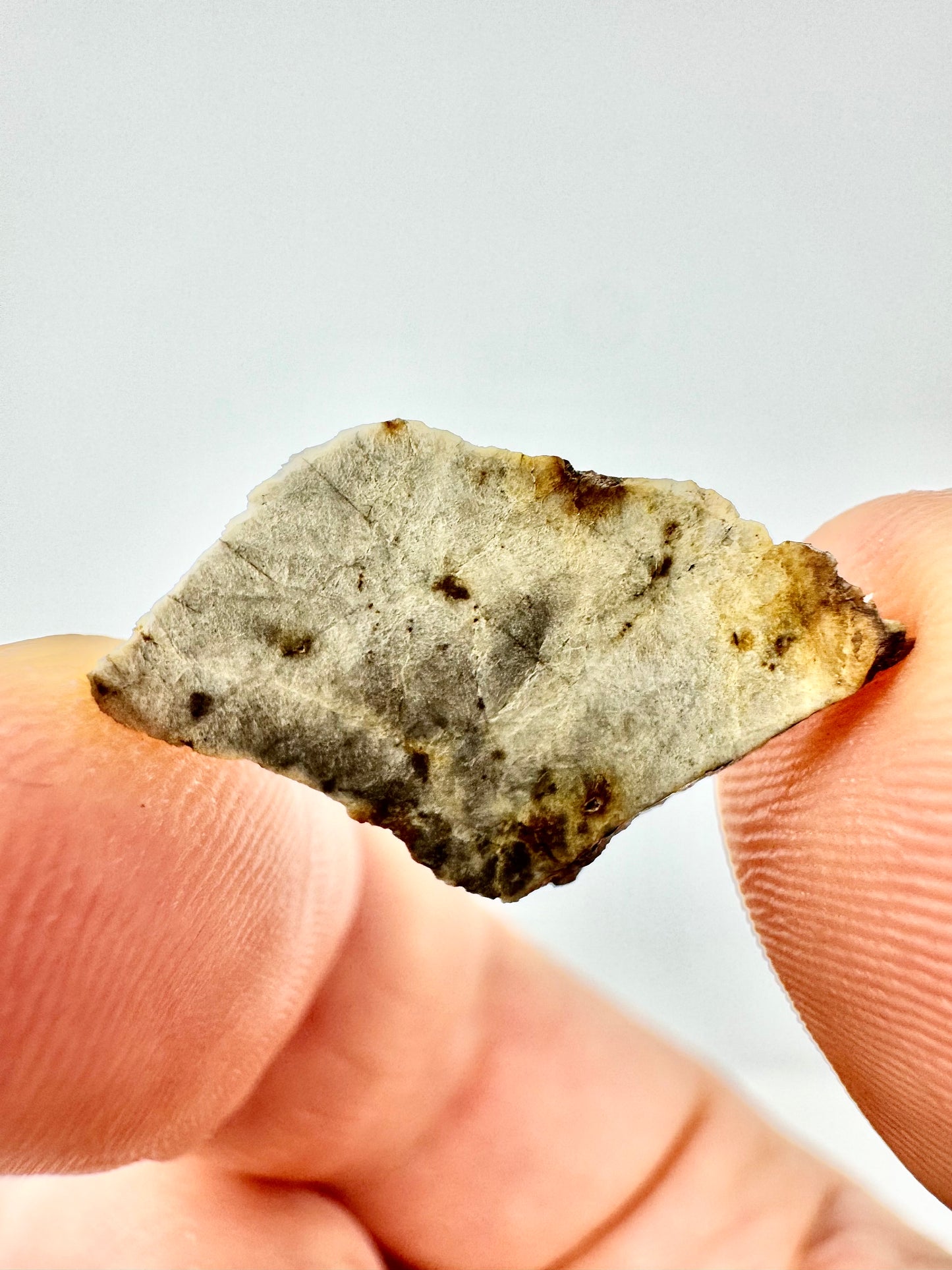 1.1g Djoua 001 Enstatite Achondrite Meteorite - Evidence of Planet Mercury - Marble Appearance