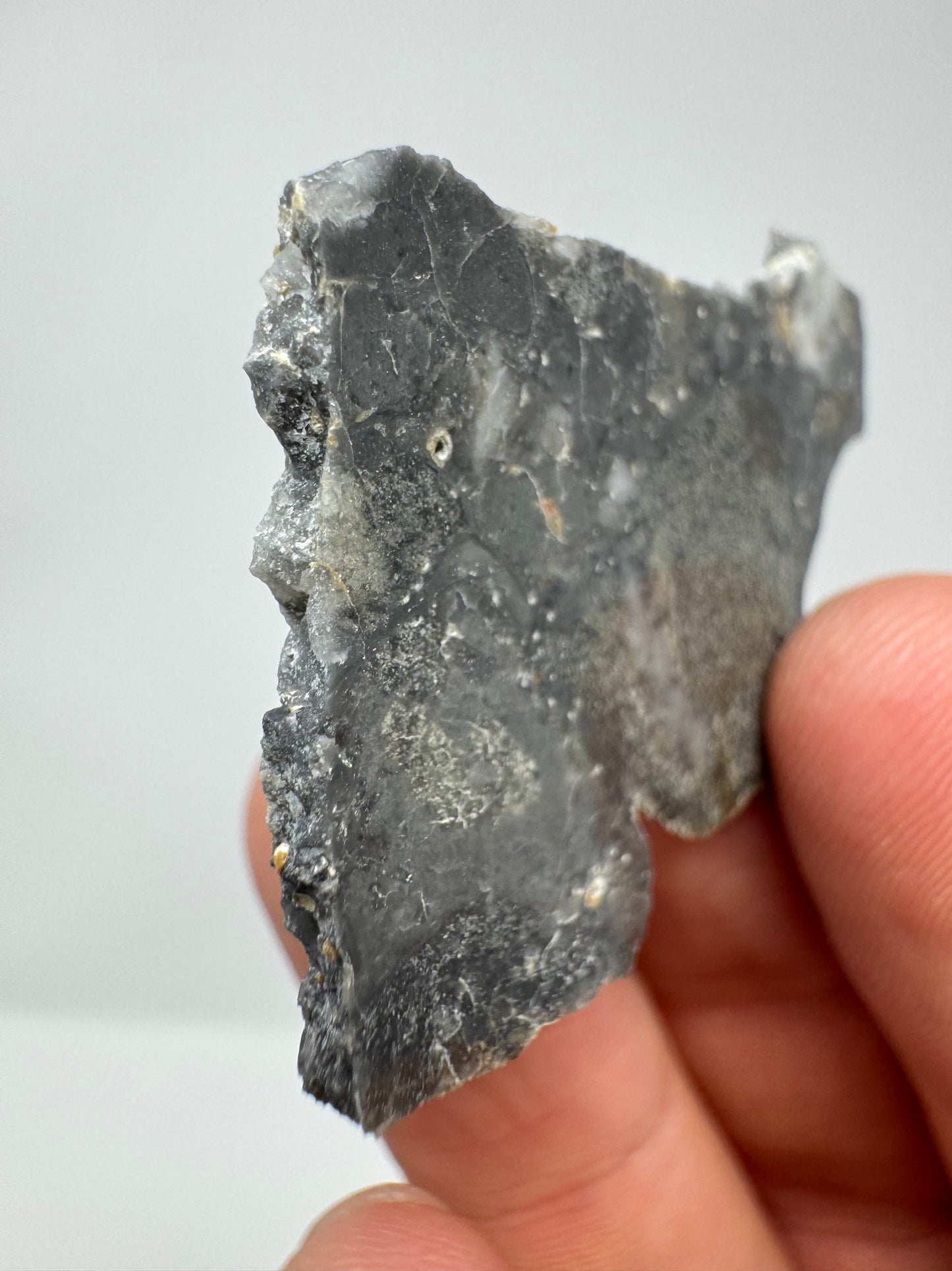 Nagjir 005 Lunar Melt Breccia - 5.1g “The Polar Bear” - A Beautiful, Rare Lunar Meteorite From The Moon!